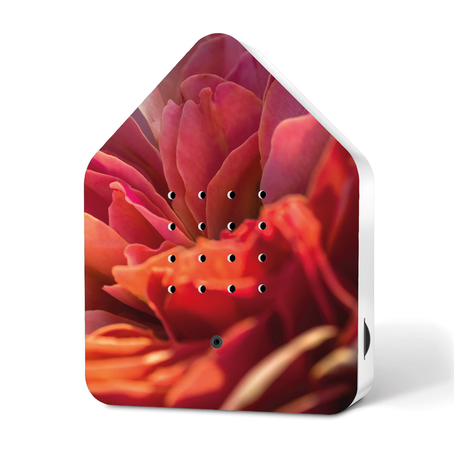 relaxound zwitscherbox blossoms edition vip violet 90139