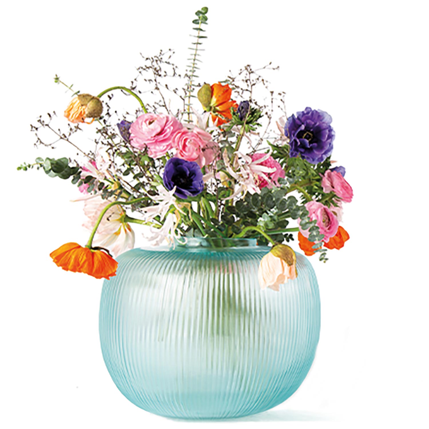 guaxs pinara vase sky rund blumen freisteller 88618