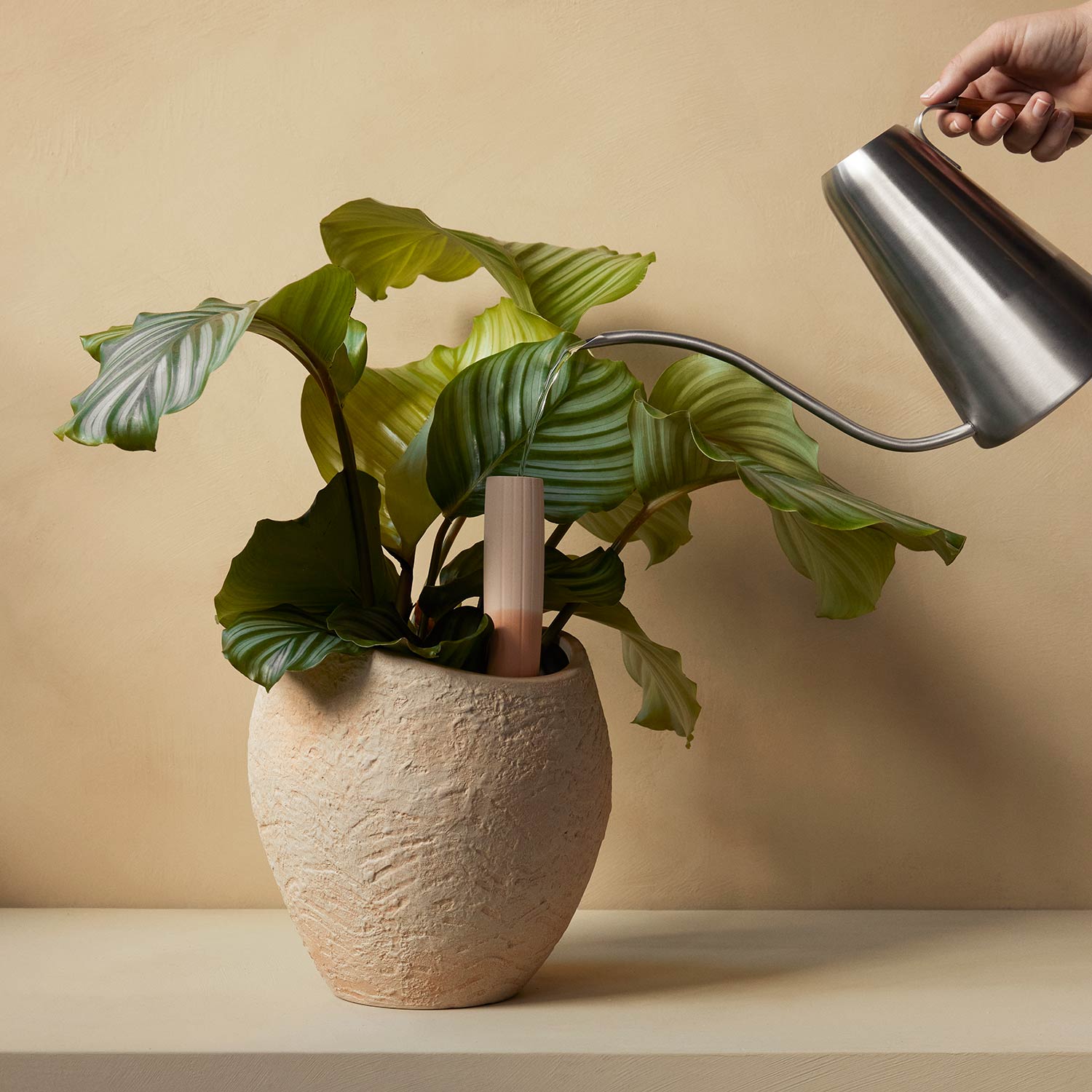 menu hydrous bewaesserungsstab blumentopf giessen 92969