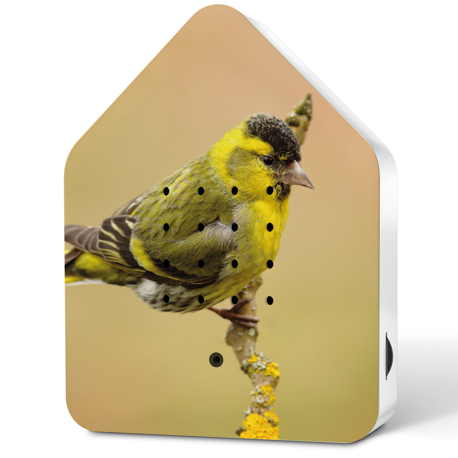 shop 11ZBX0301021 100748