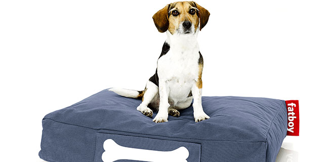 Fatboy Hundekissen blau mit Hund auf weißem Hintergrund