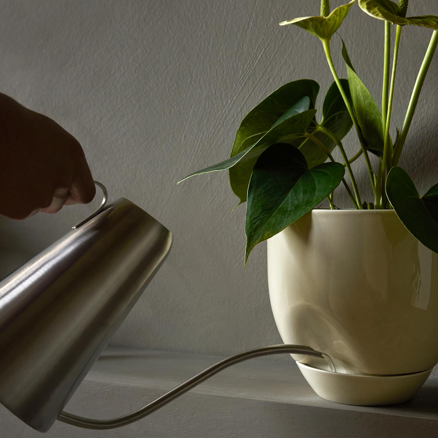 menu hydrous blumentopf aschgrau gross pflanze giessen 92977