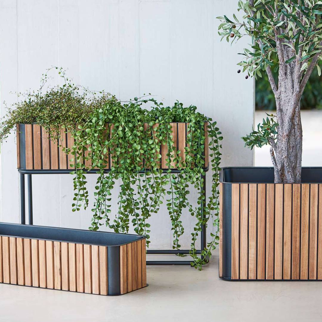 cane line combine pflanzengefaesse 67112