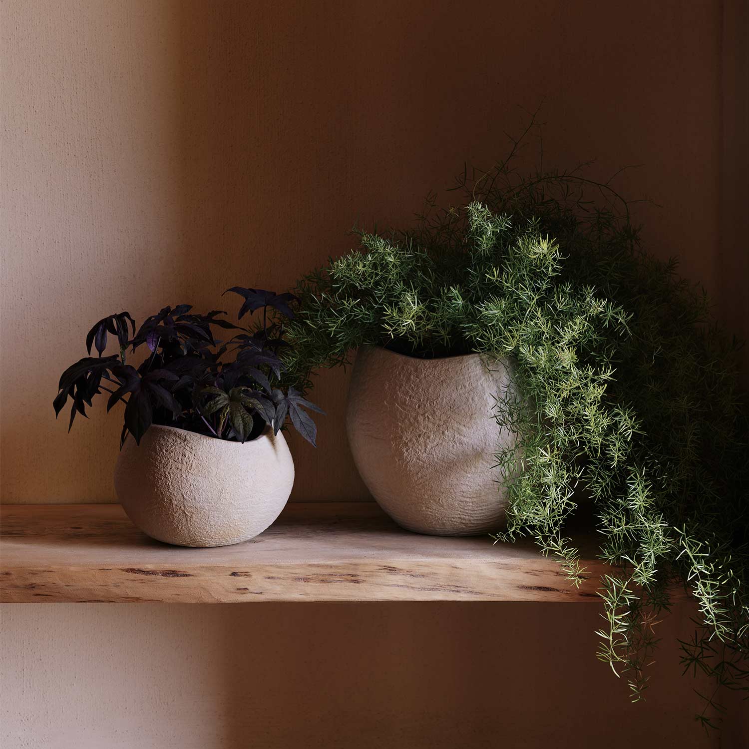 menu plantas blumentop h17 wohnzimmer 93325