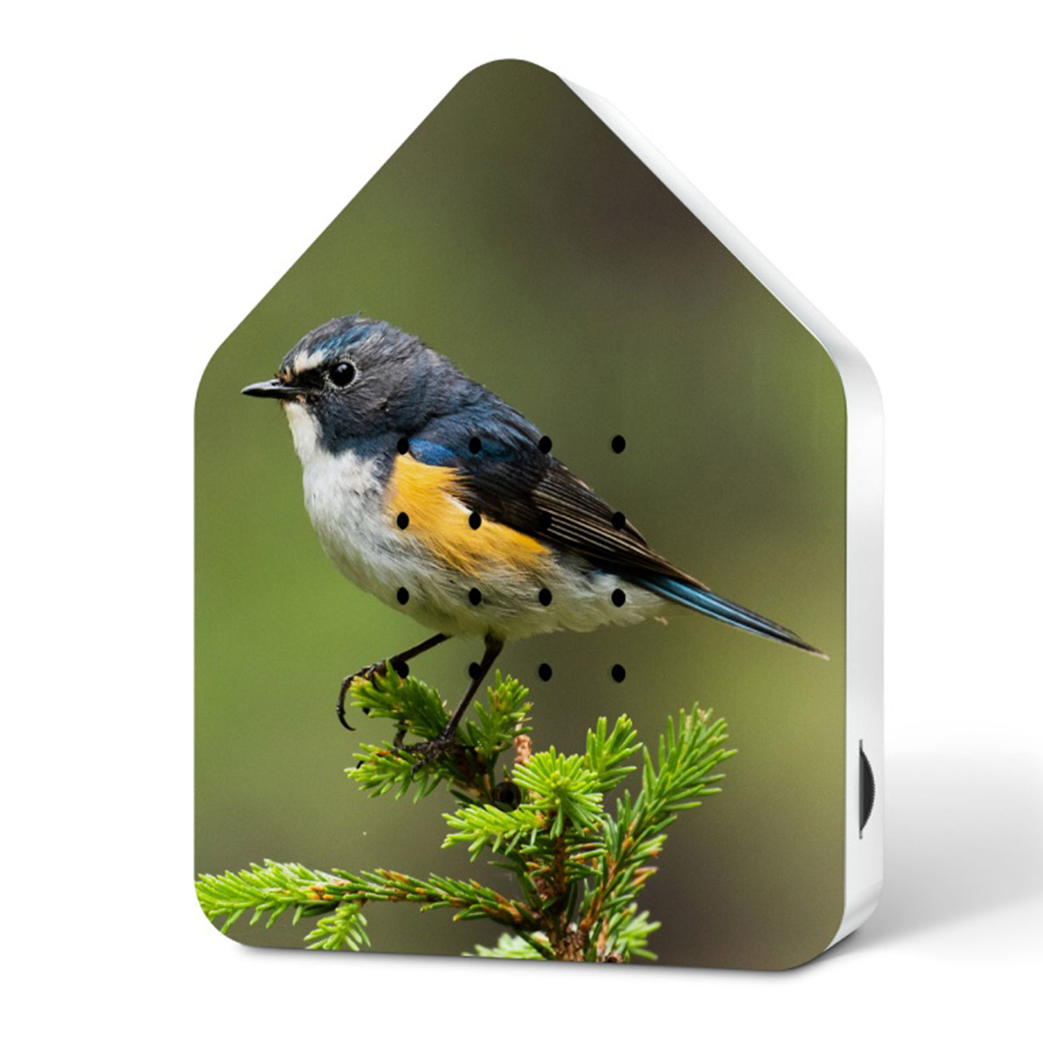 Relaxound Limited Edition Fall 2024 Zwitscherbox Red Flanked Bluetail 103671