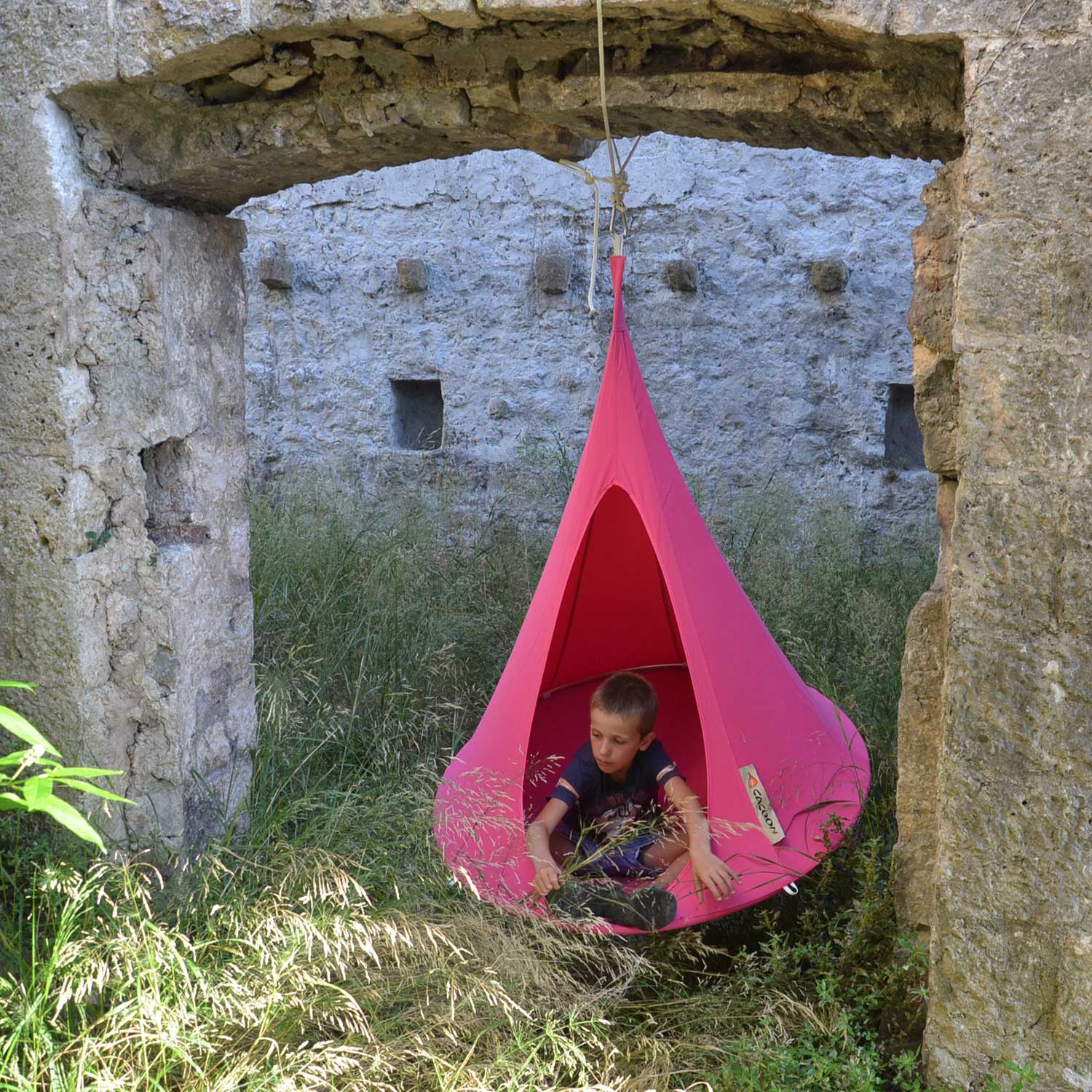 cacoon bonsai fushia 2 24459