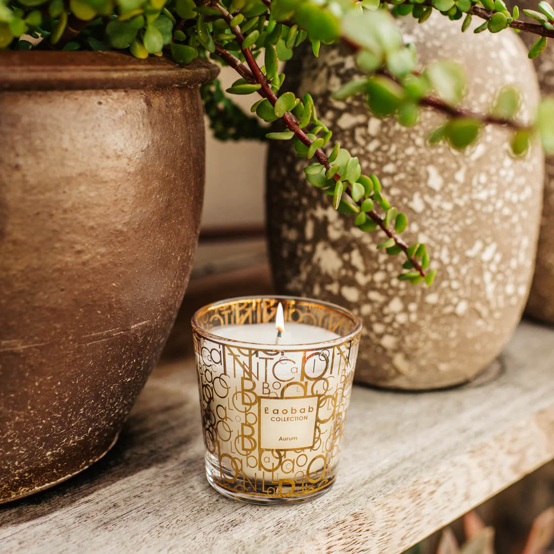 Baobab My first AURUM duftkerze 97783