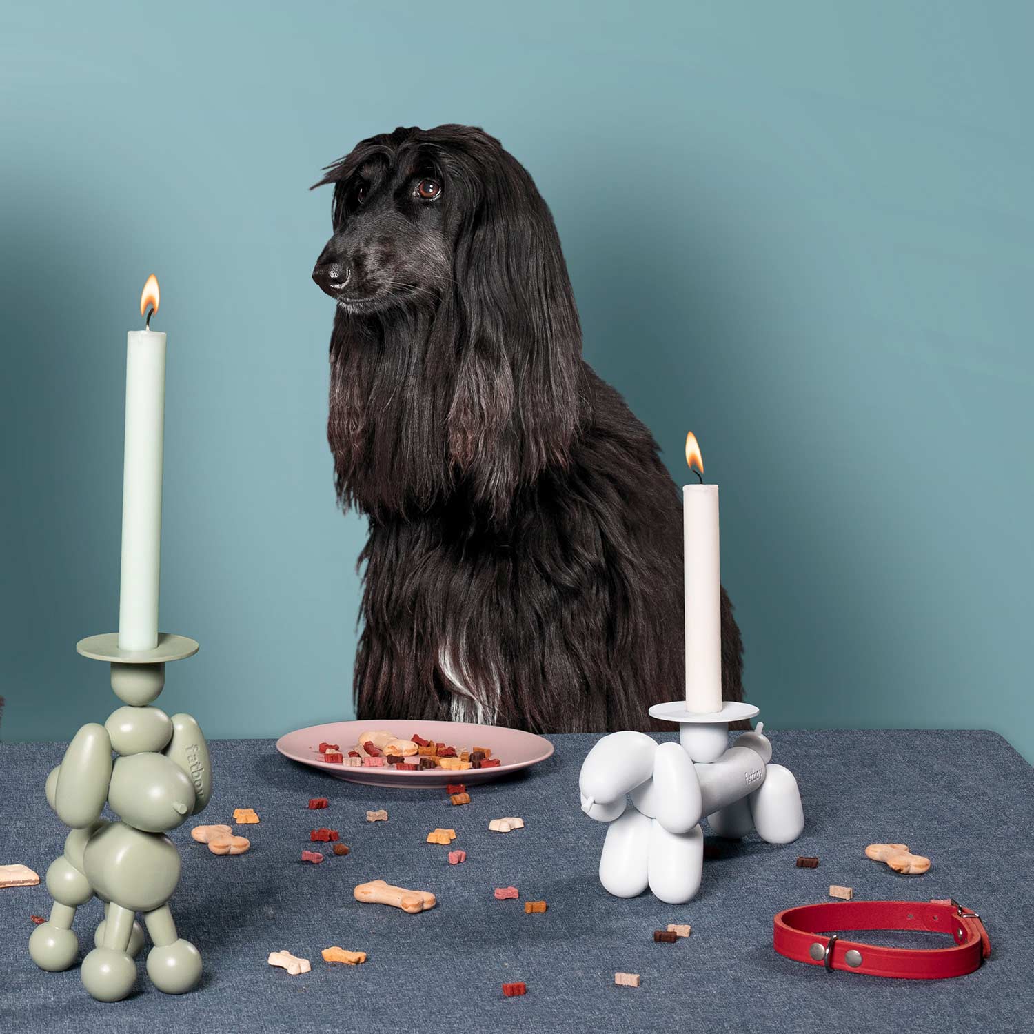 fatboy can dog weiss mit can dolly 58896