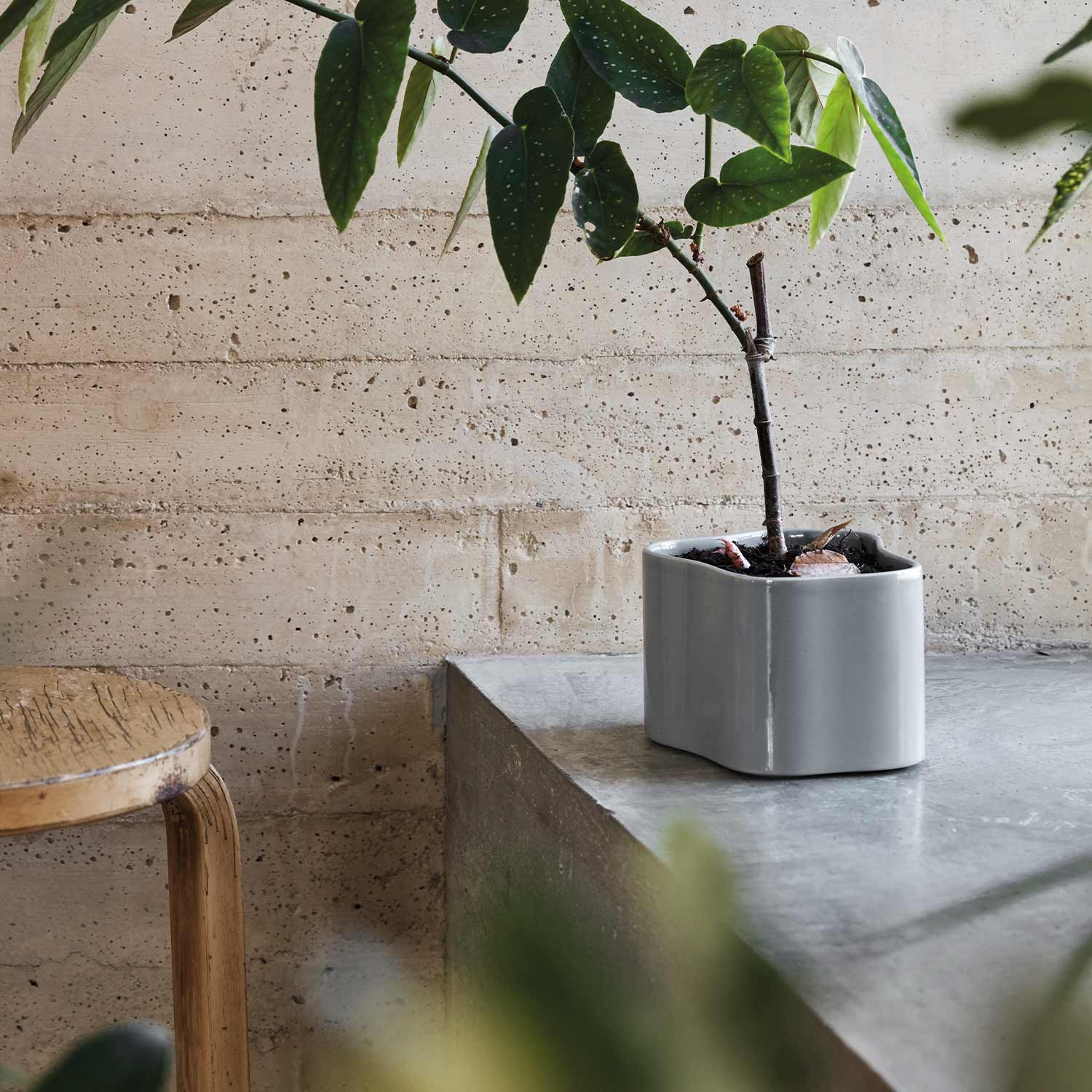 artek pflanzschale amb4 90719