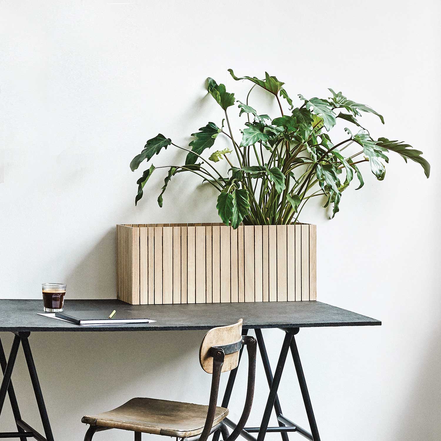 squarely grow wide natural ash pflanzgefaess 77254