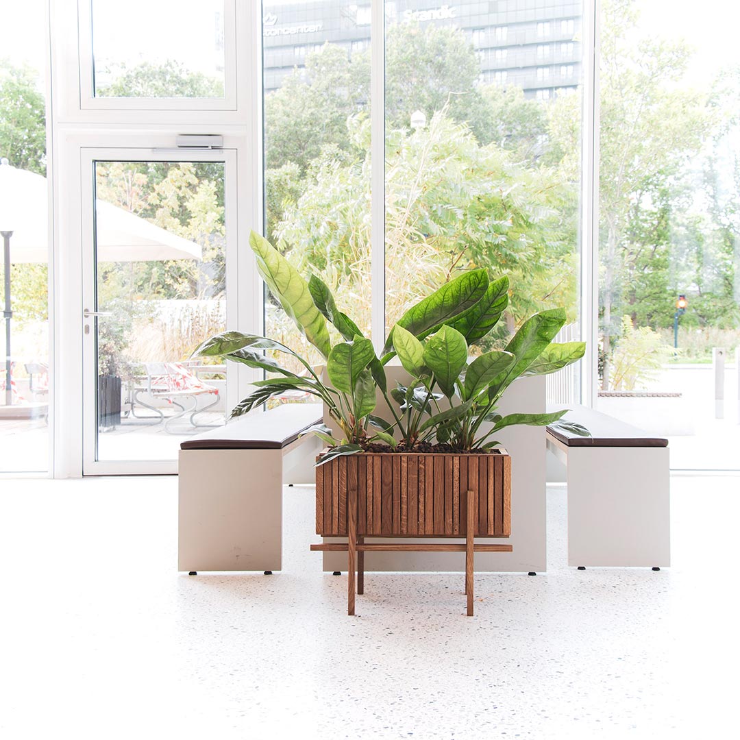 squarely stand wide 77284