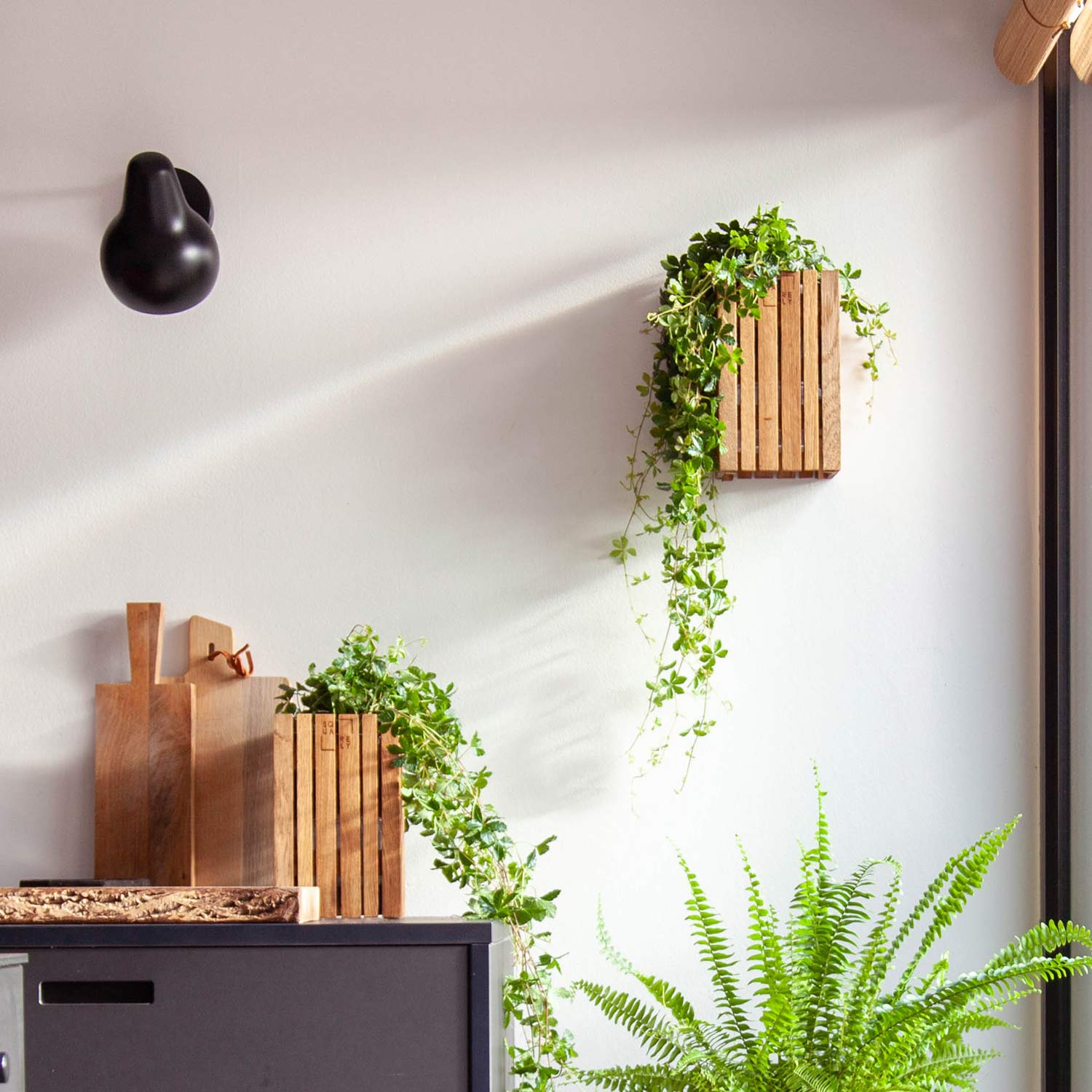 squarely grow small blumentopf innen 77213