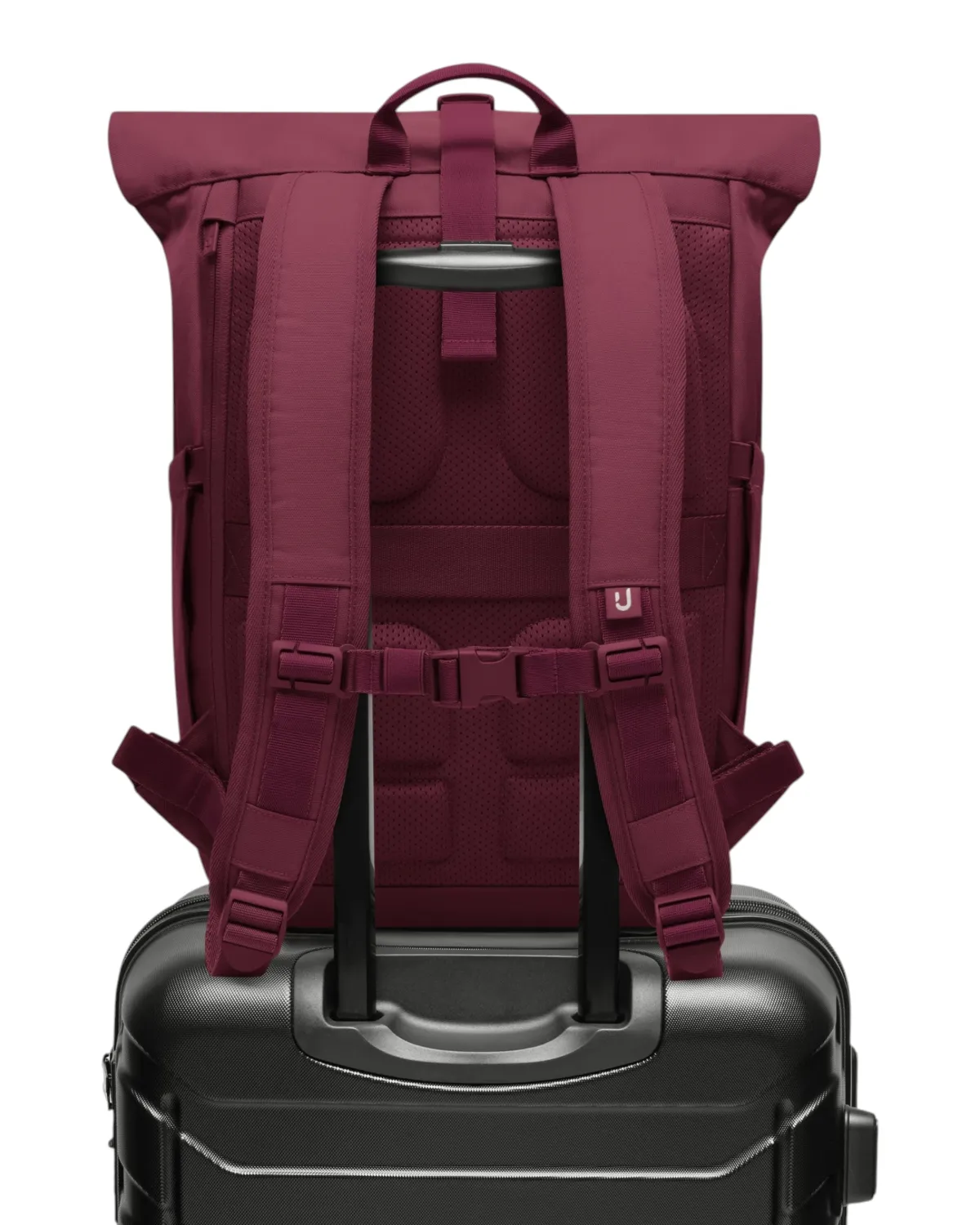 Johnny Urban - Allen Large 2.0 Rolltop Rucksack burgundy