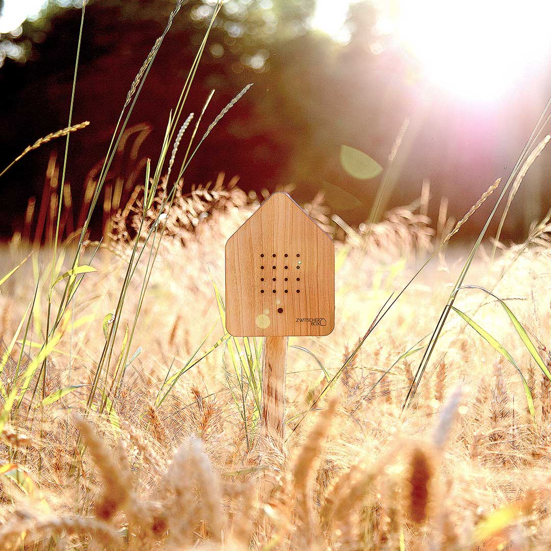 relaxound zwitscherbox holz 67859