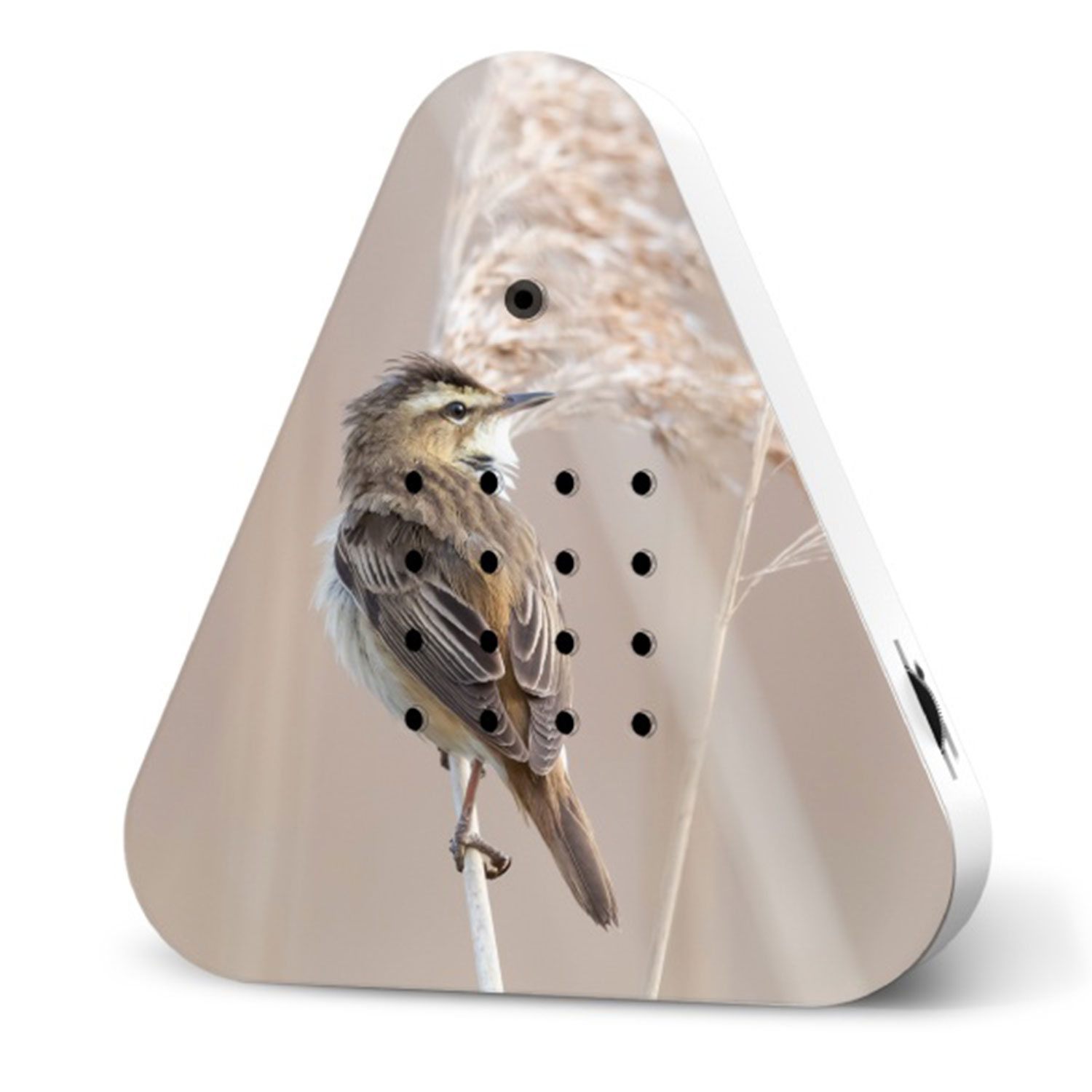 Relaxound Limited Edition Fall 2024 Lakesidebox Reed Warbler 103674