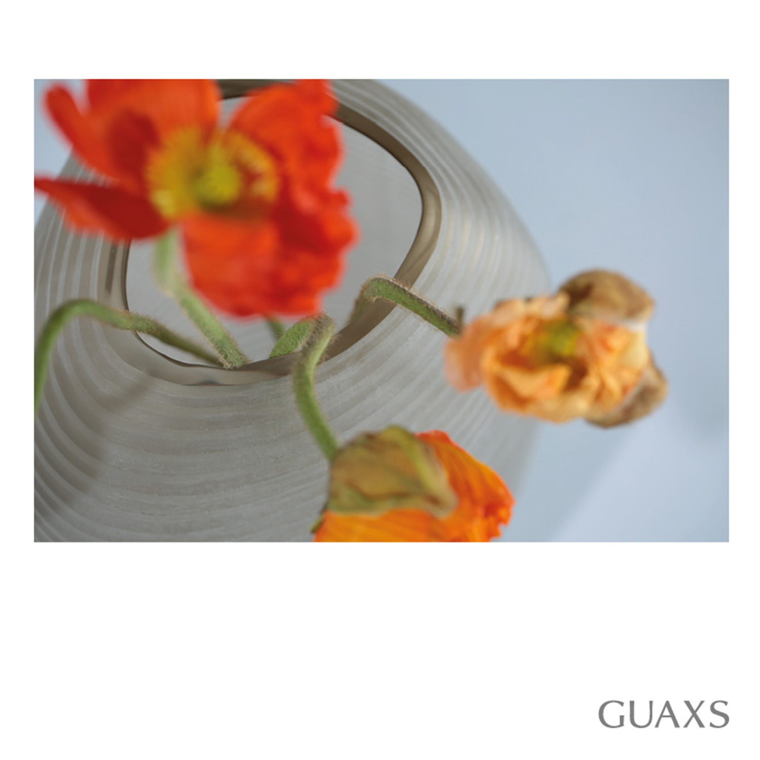 guaxs patara vase 73687