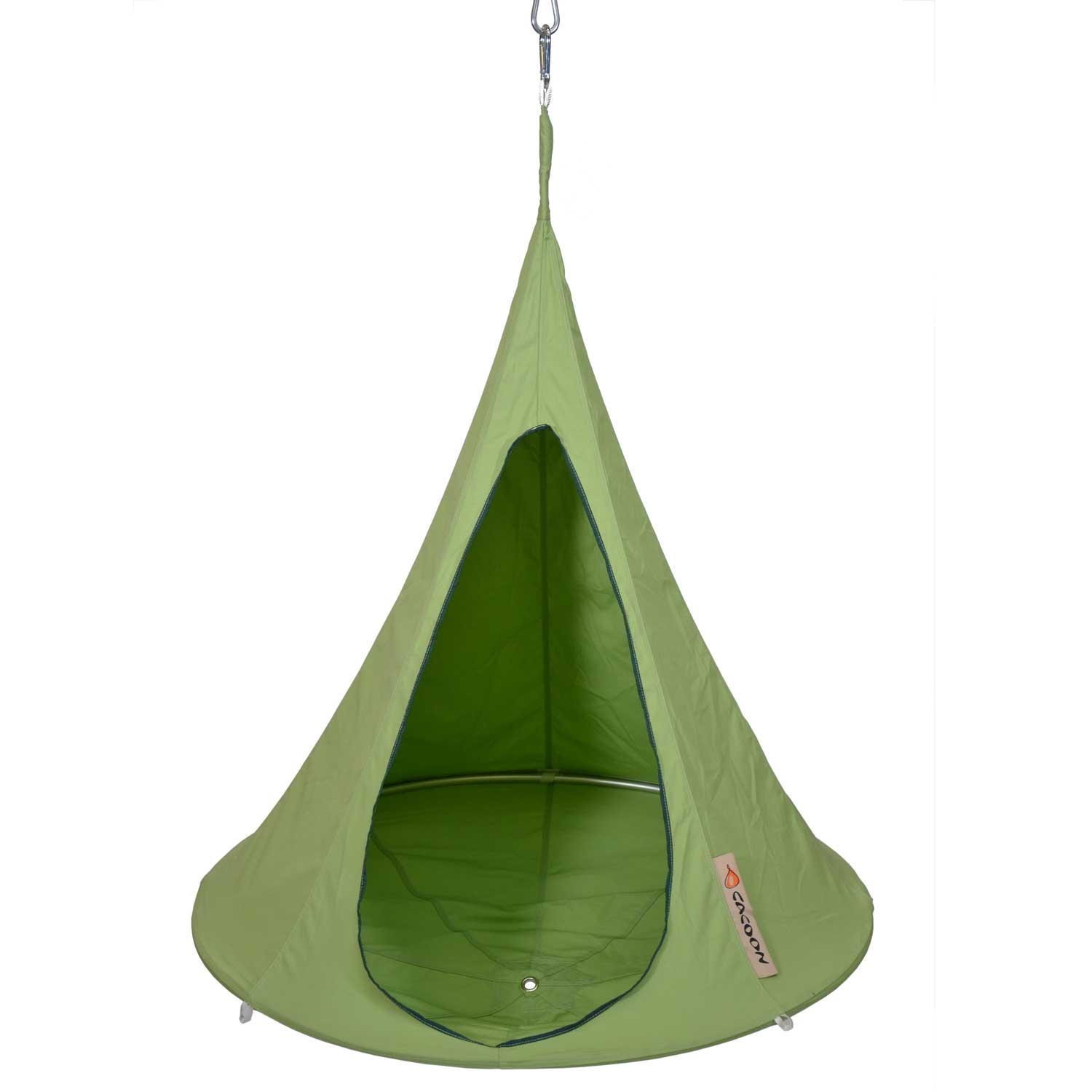 cacoon bonsai leaf green 1 24478