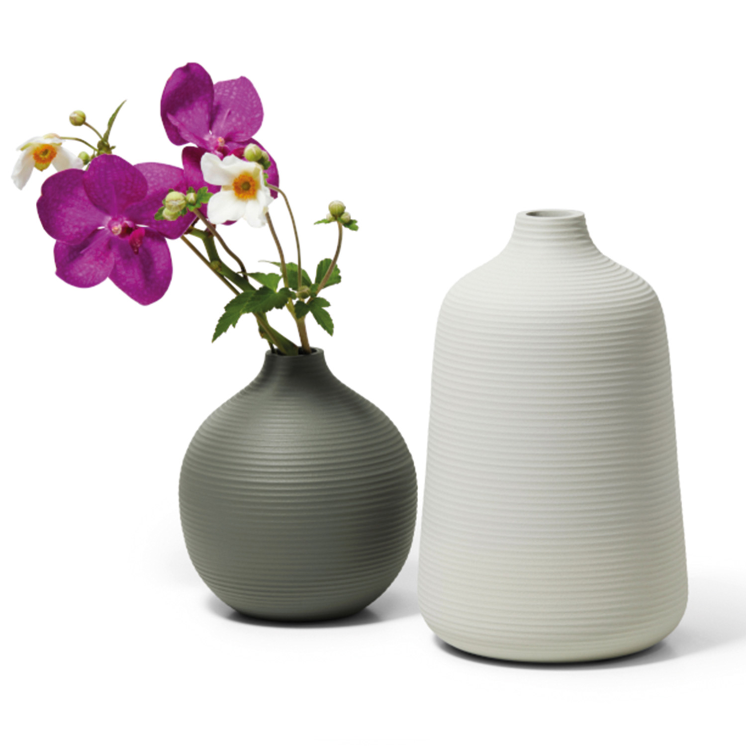 philippi lim vase rund freisteller kombi 88940