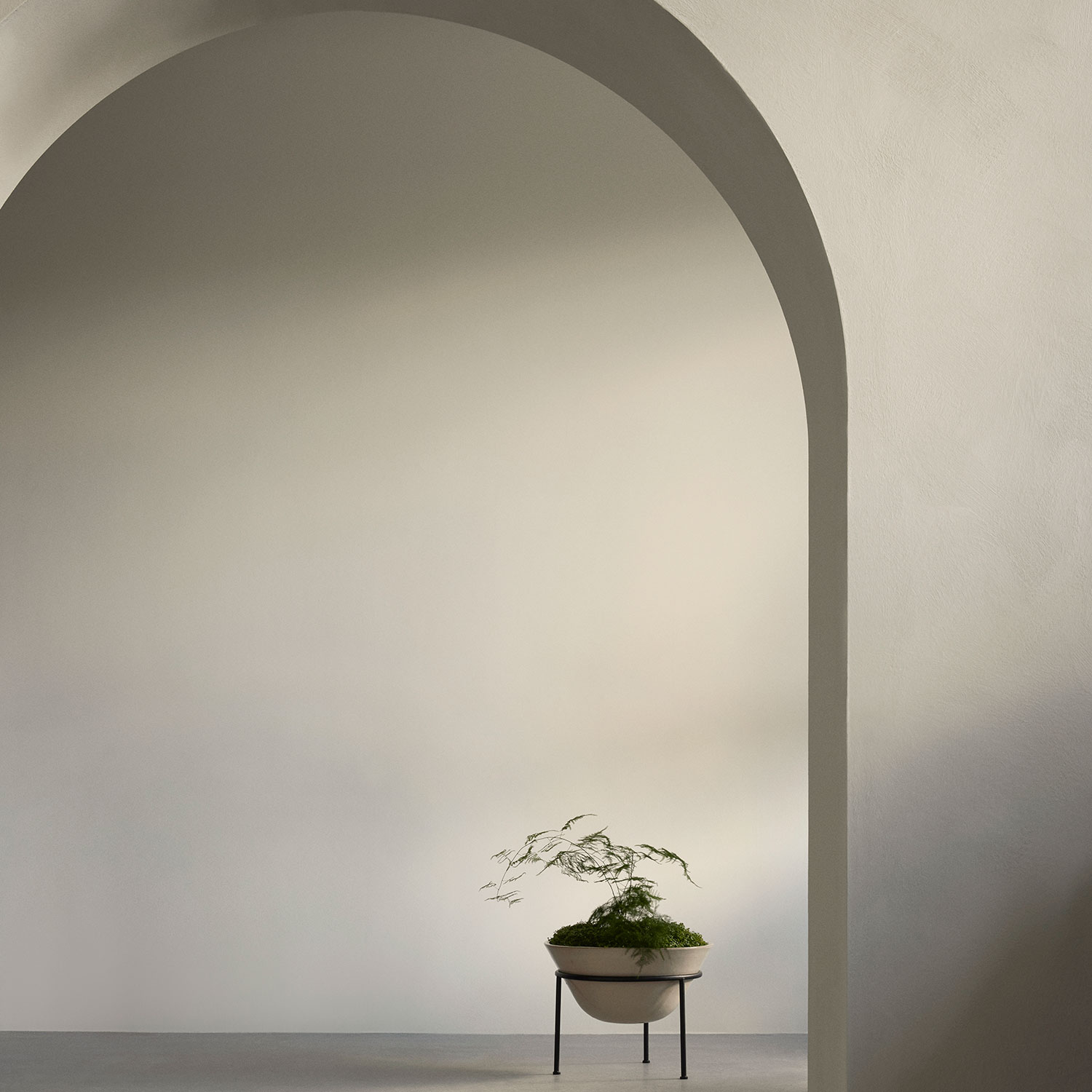 menu daiza pflanztopf xl pflanze 92926