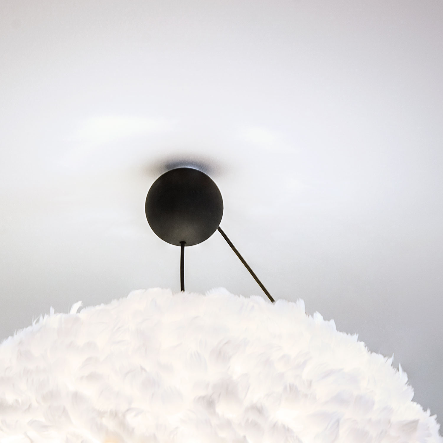 vita cannonball 04032 23052