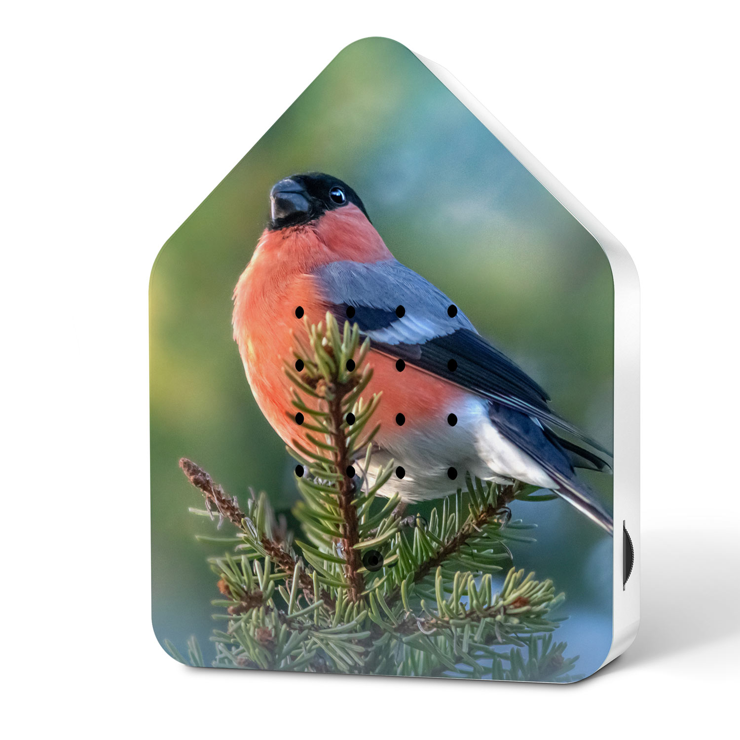 Relaxound - Zwitscherbox Limited Edition Spring 25 Bullfink