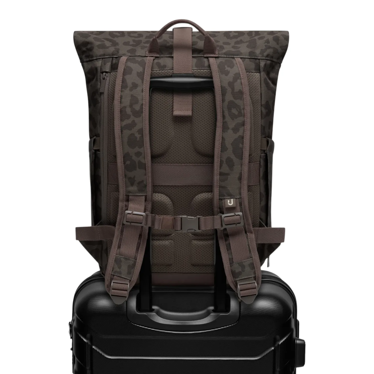 Johnny Urban - Allen Medium 2.0 Rolltop Rucksack brown leo