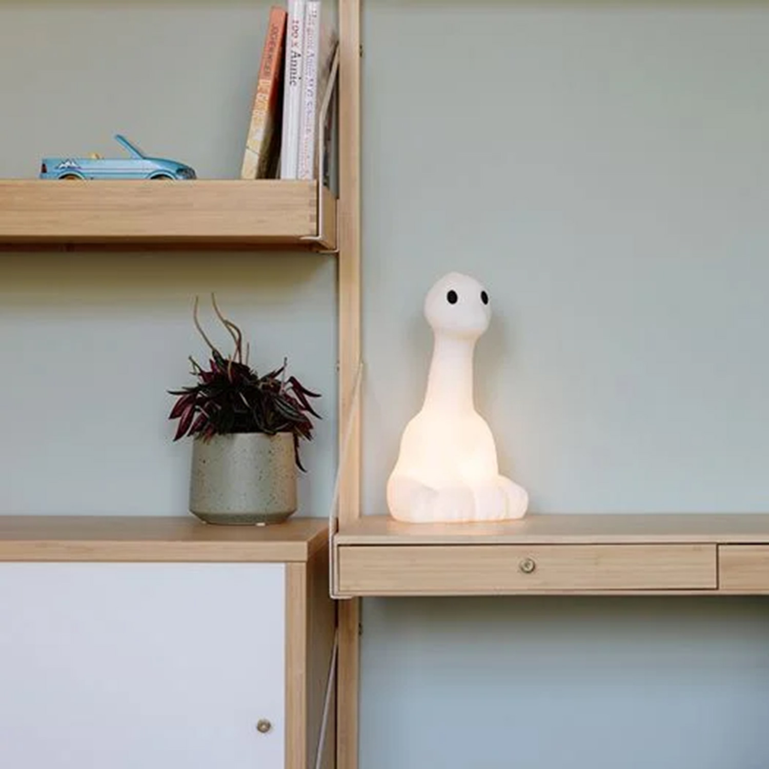 mr maria nova first light regal 95715