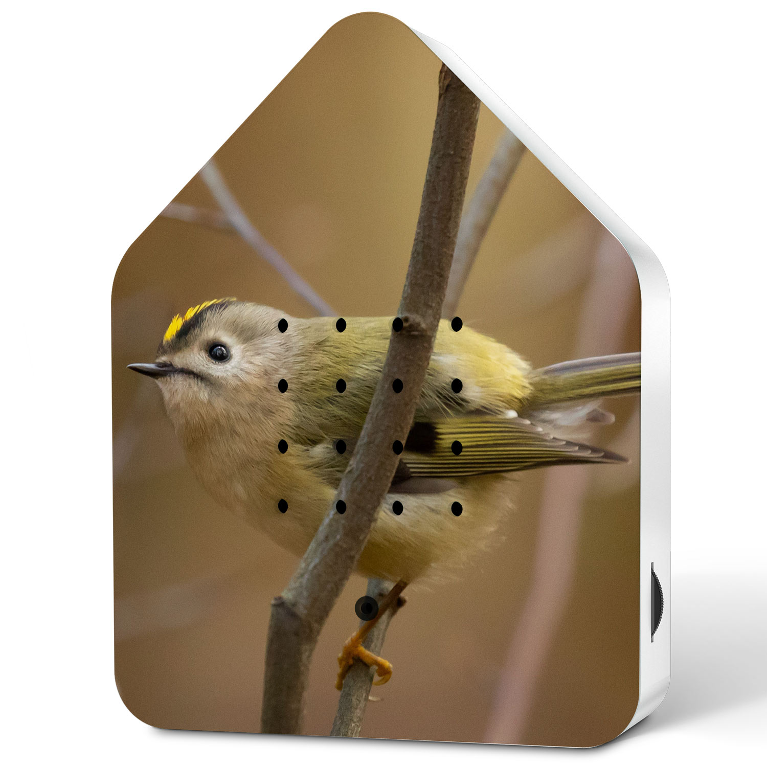 shop 11ZBX0301022 100749