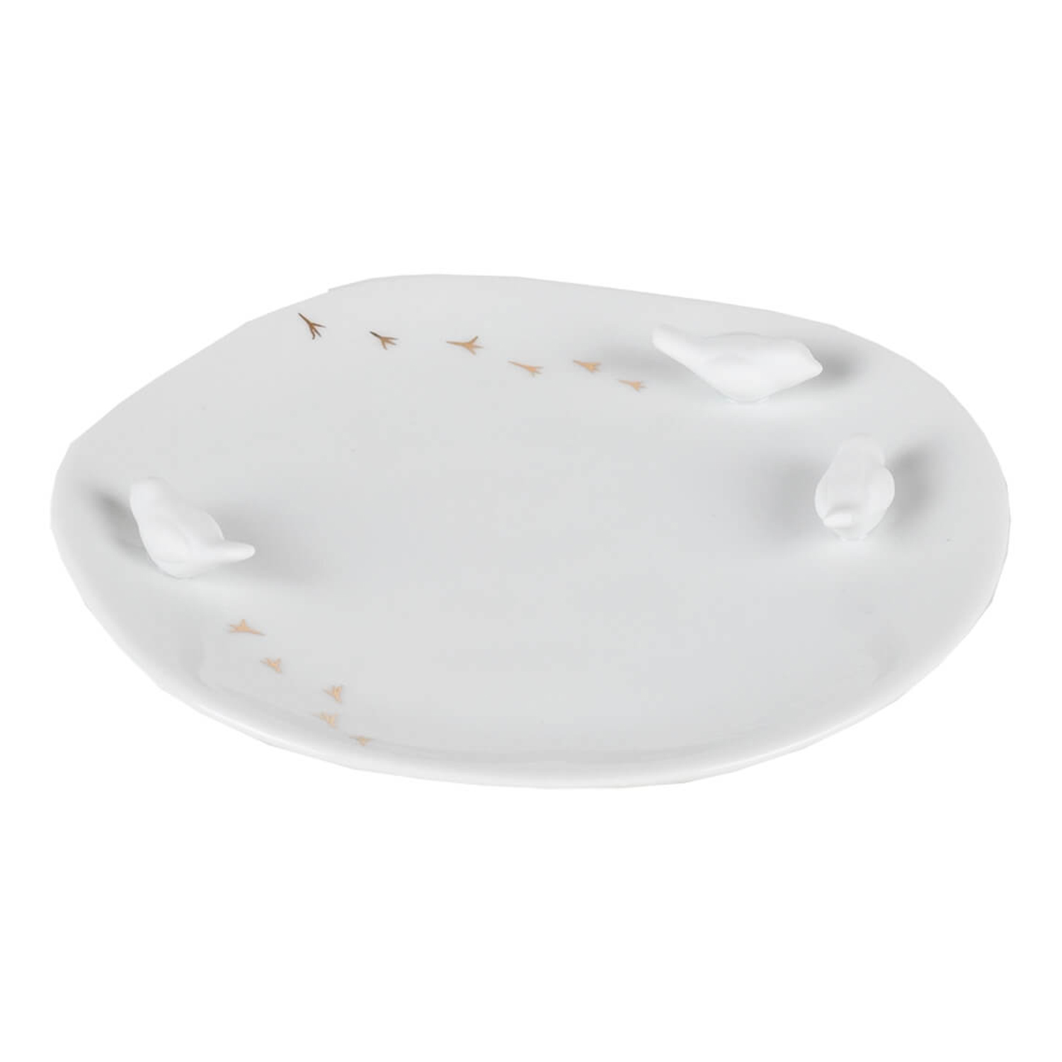 raeder design porzellangeschichten teller voegel 68599