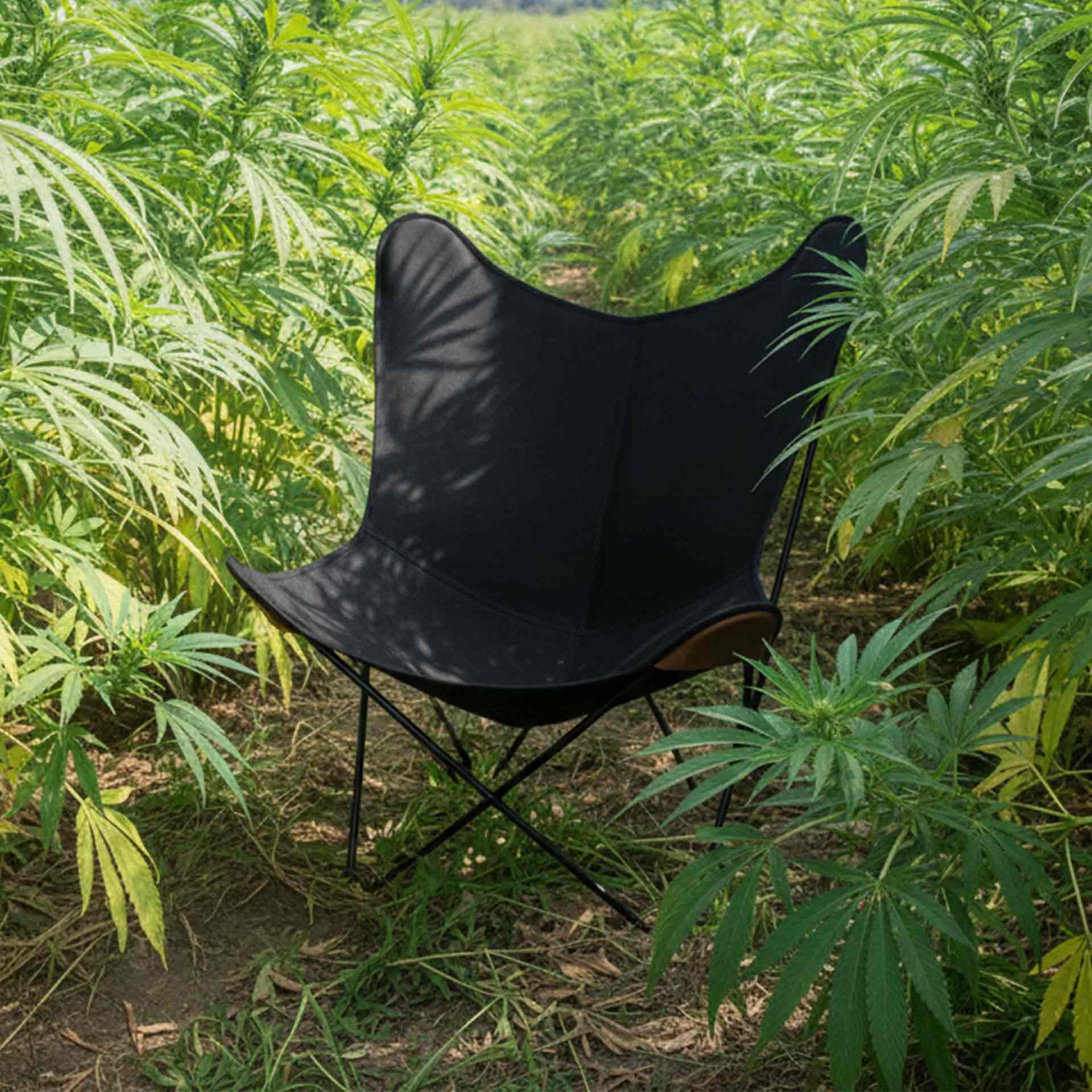 Cuero - Canvas Mariposa Hanf-Leinen schwarz / schwarz