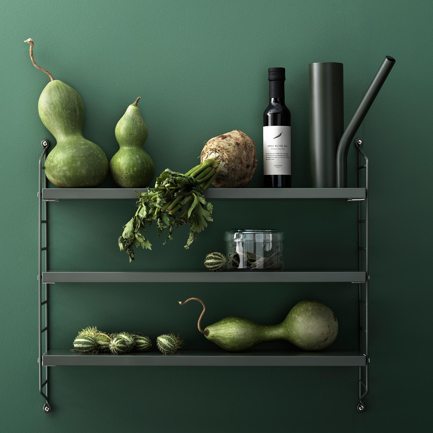 pocket sage string 66796