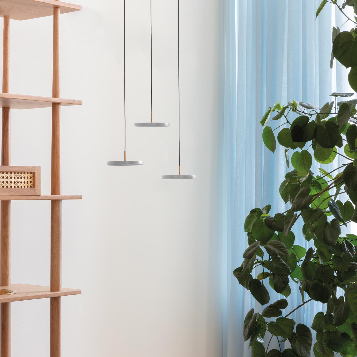 umage asteria micro stories regal 78317