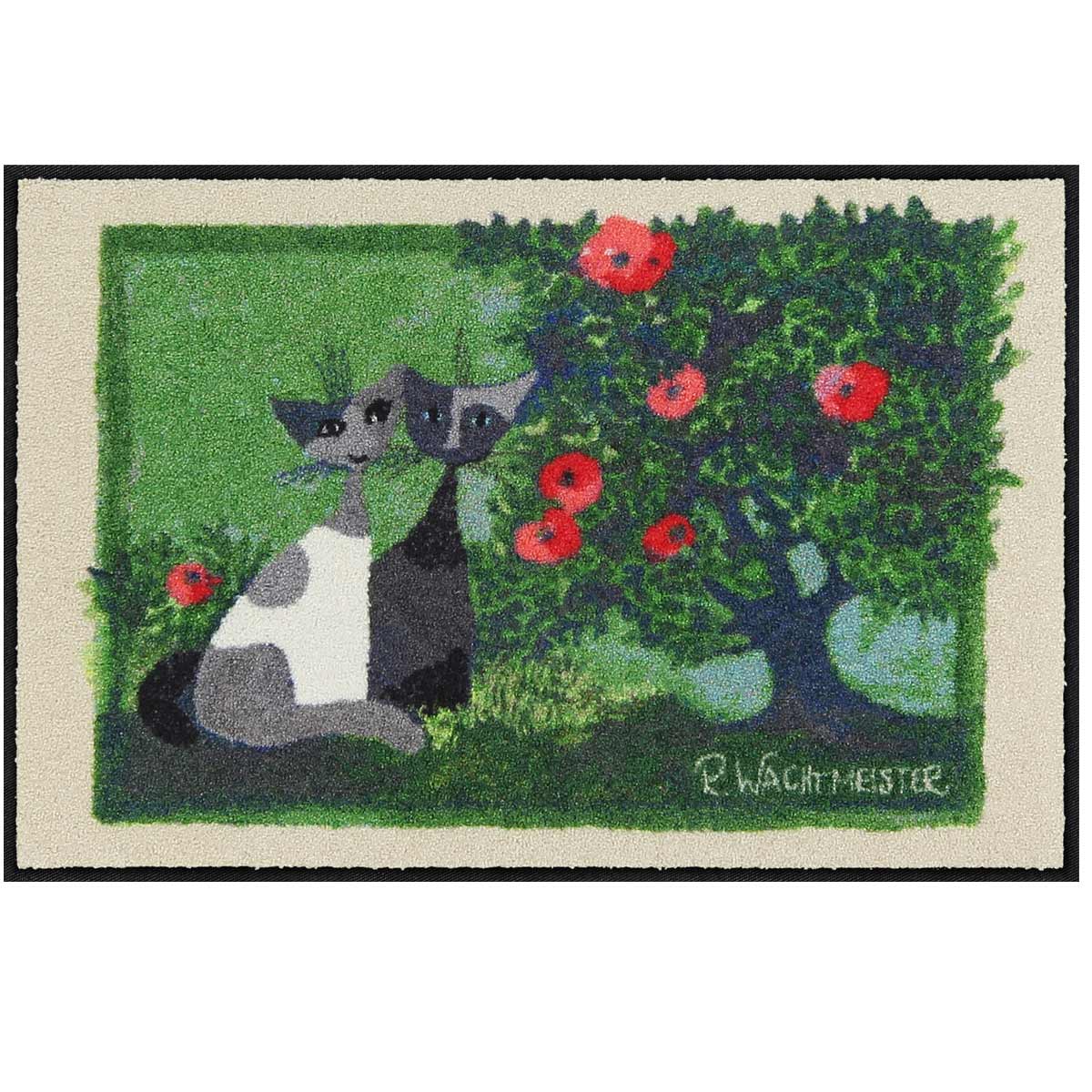 shop SLD3034 050x075 100537