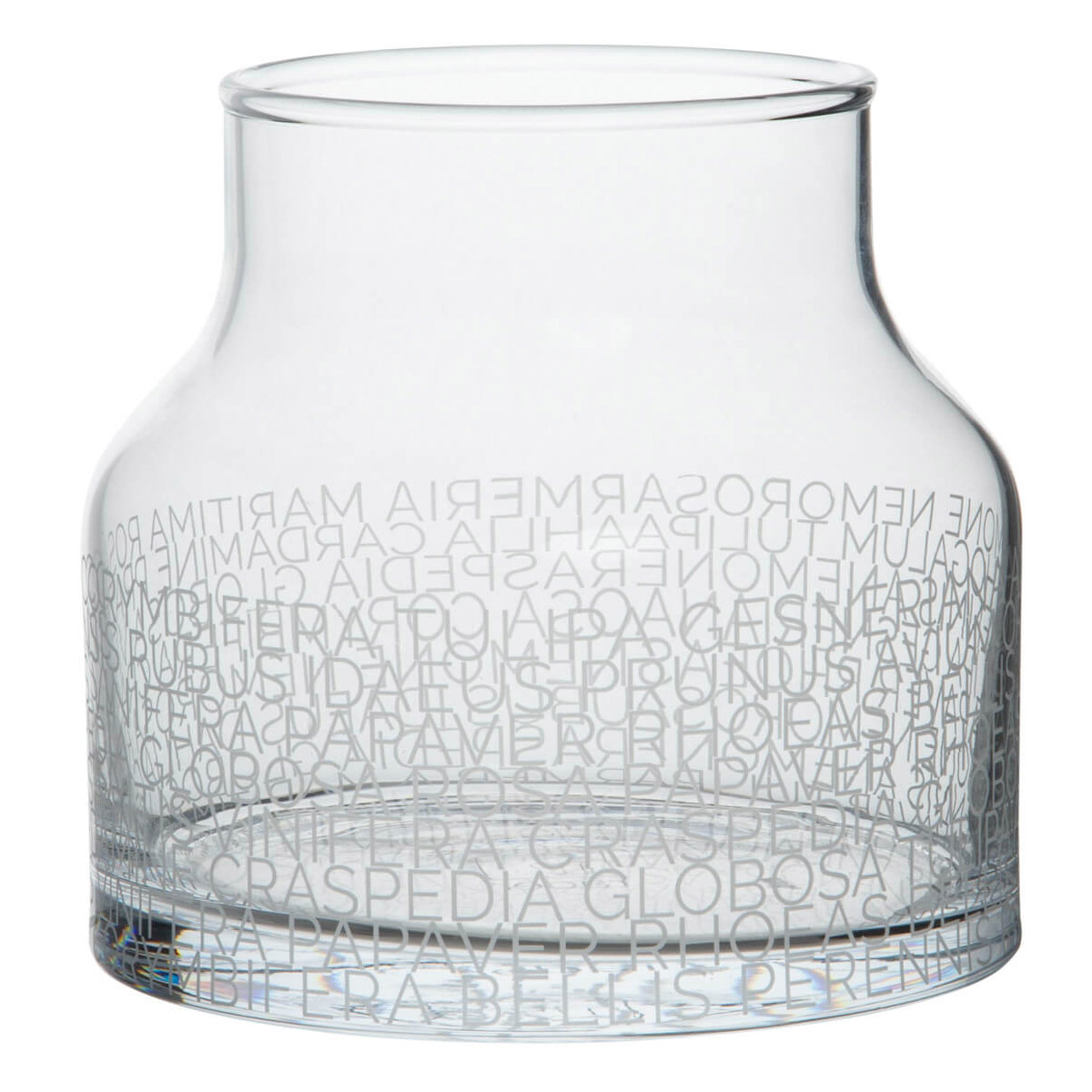 raeder living glasvase botanischenamen 53665