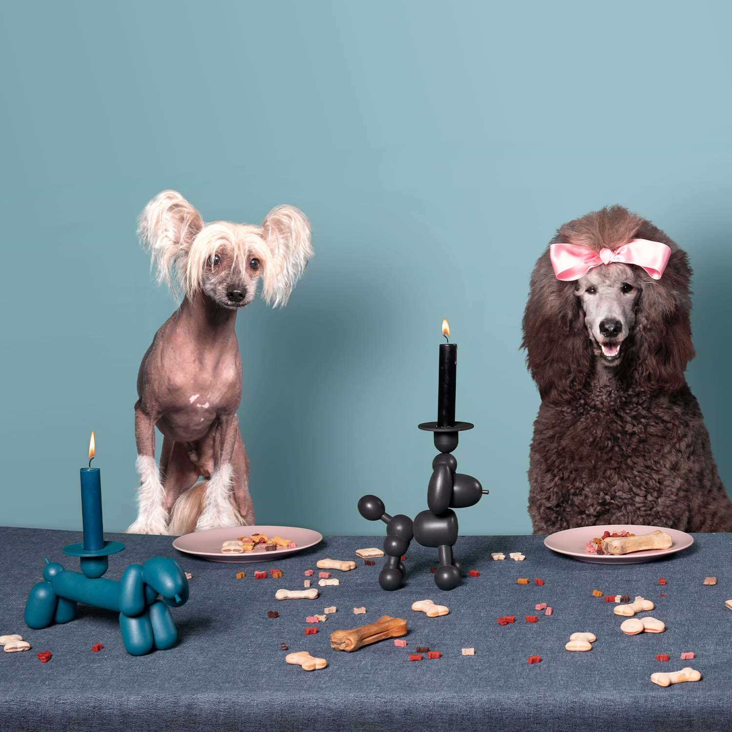 can dog fatboy kerzenstaender 51824