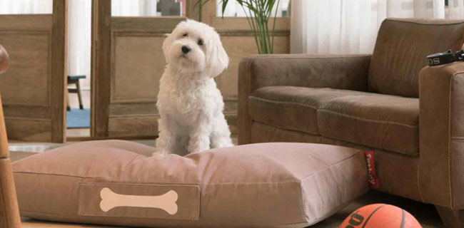 Fatboy Hundekissen pink mit weißem Hund