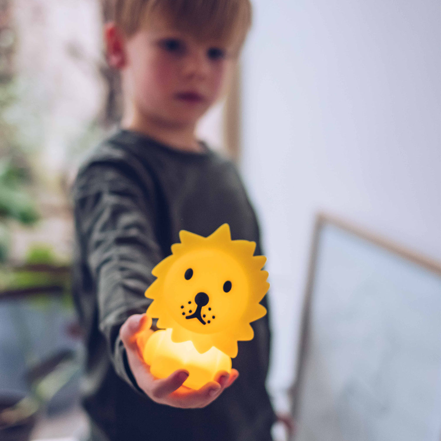 mr maria lion bundle of light kinderleuchte 81622