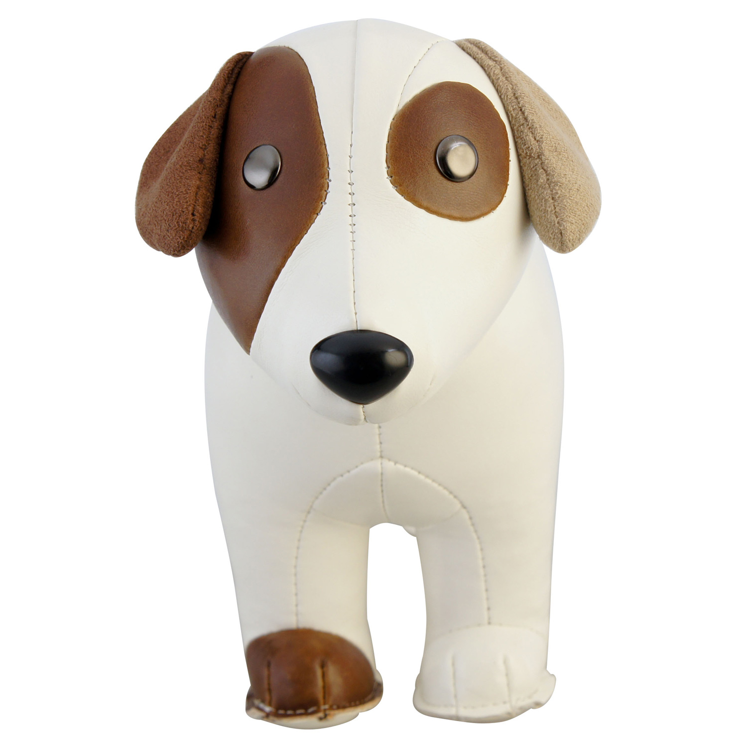 zueny russell terrier ZCBV0041 3