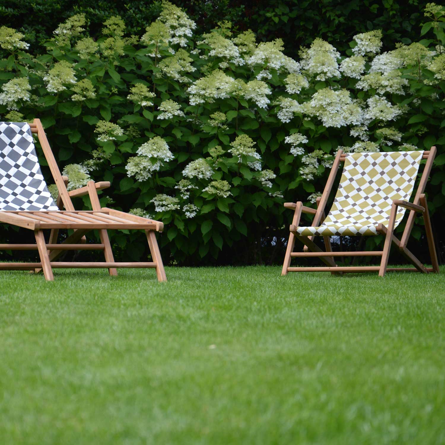 fiam maxx wiese 51465