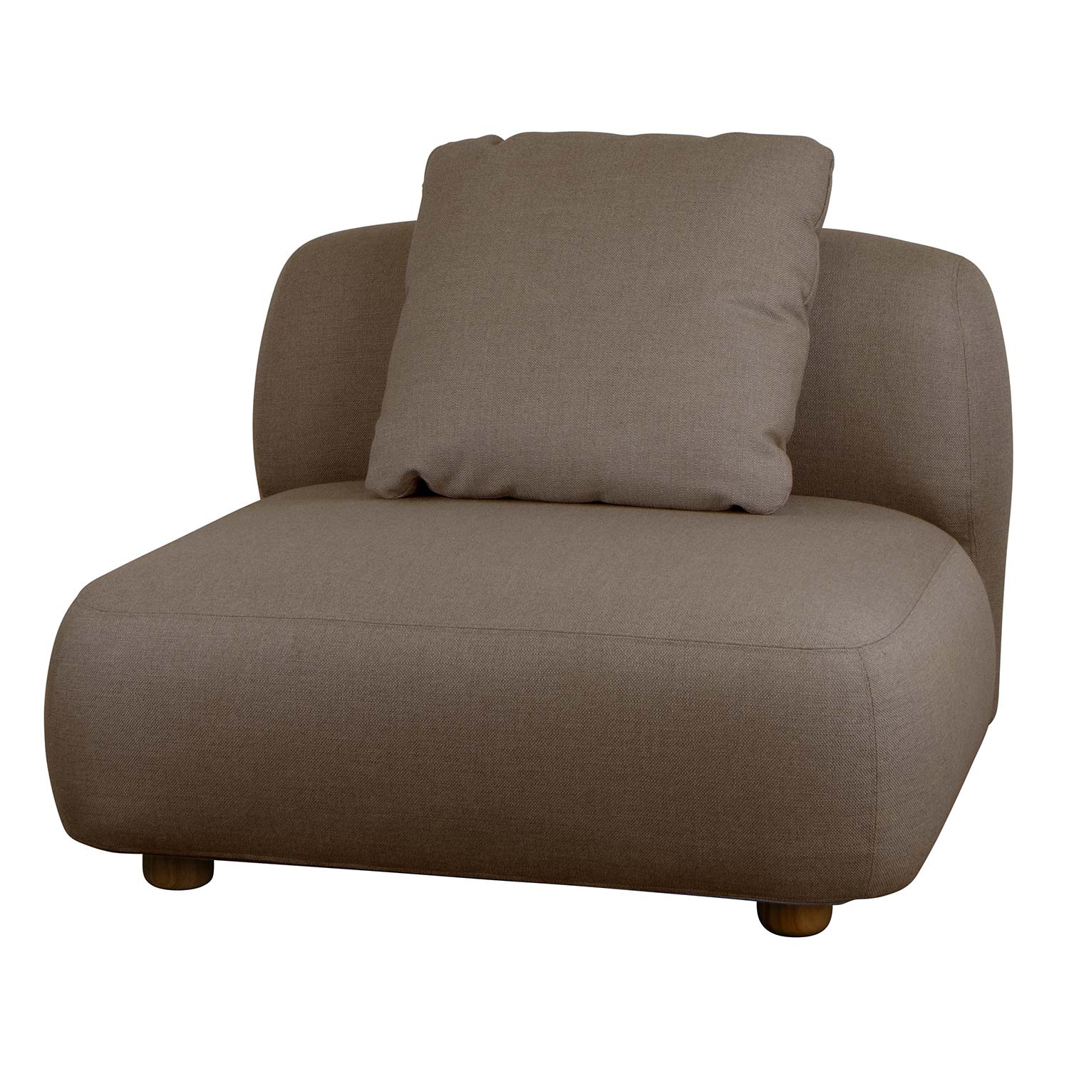 cane line capture einzelmodul 55404AITT 98736