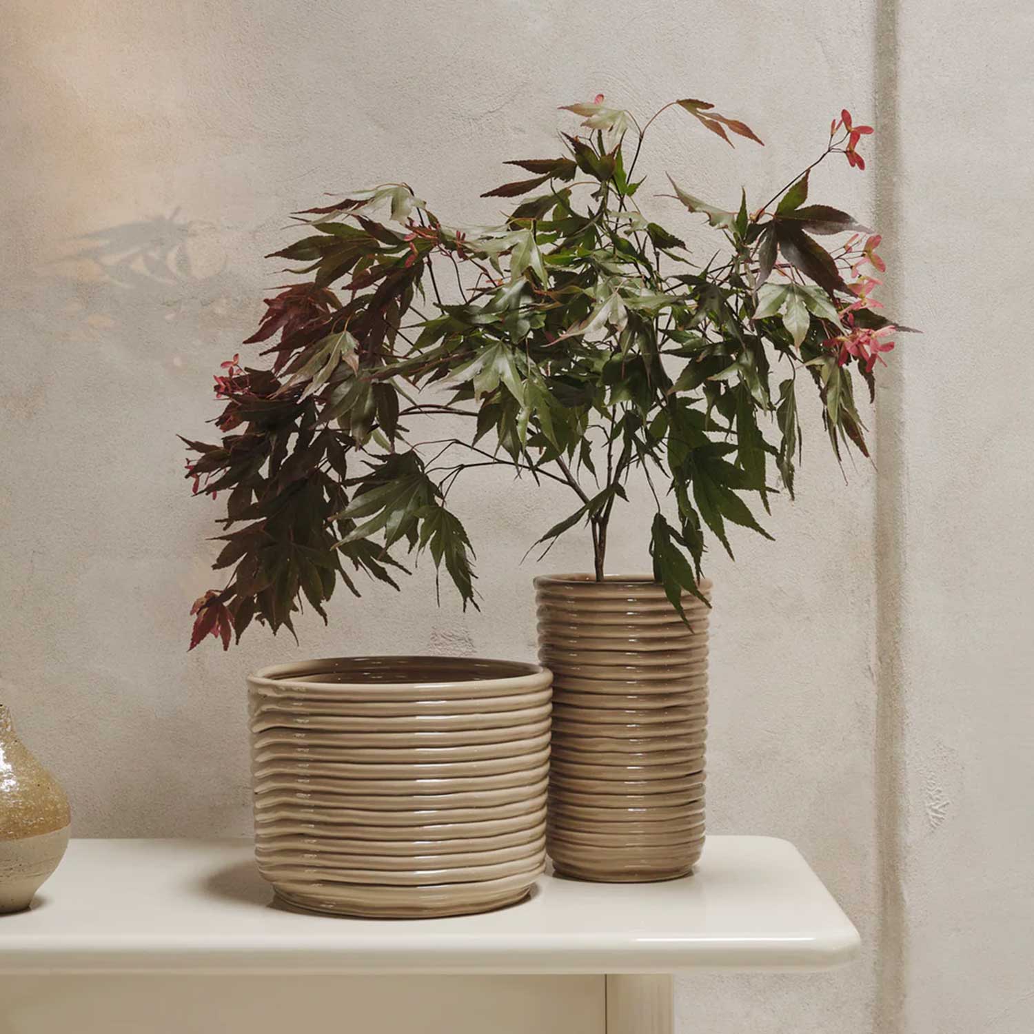 ferm LIVING Corduory Vase mit Blumen 104380