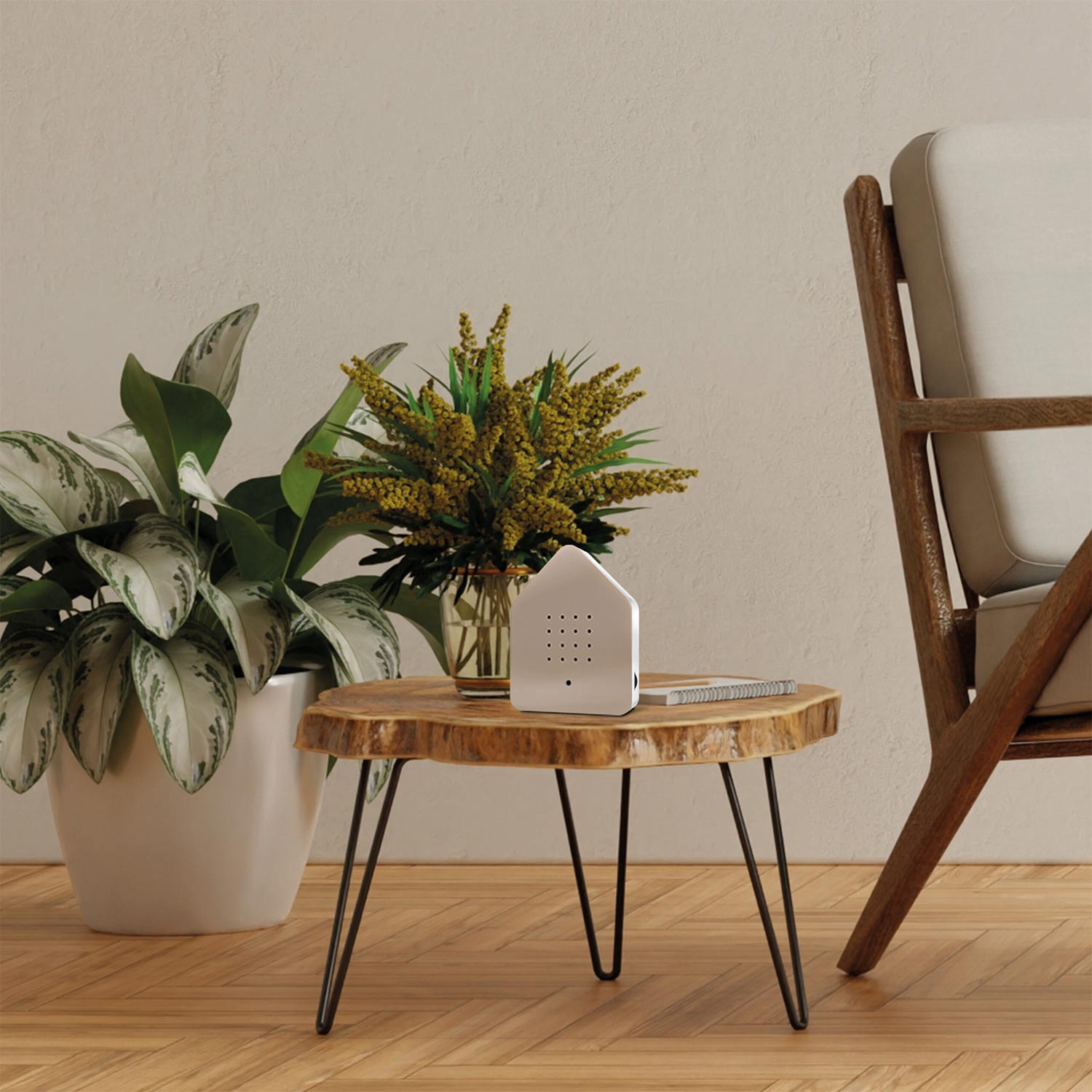 relaxound zwitscherbox klassik taupe 80858