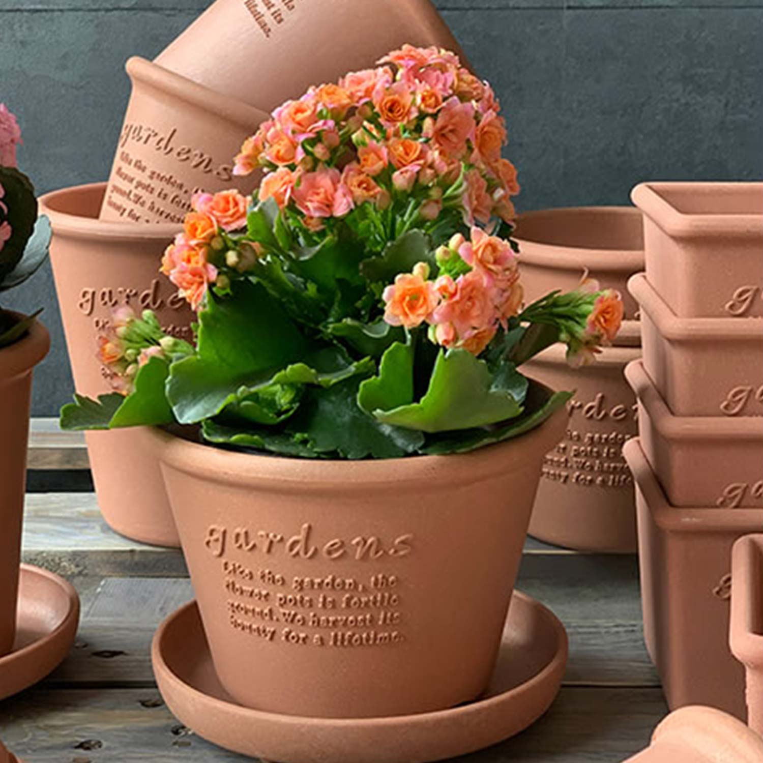 Hachiman - Eco Pot Shallow Type #10 navy blau