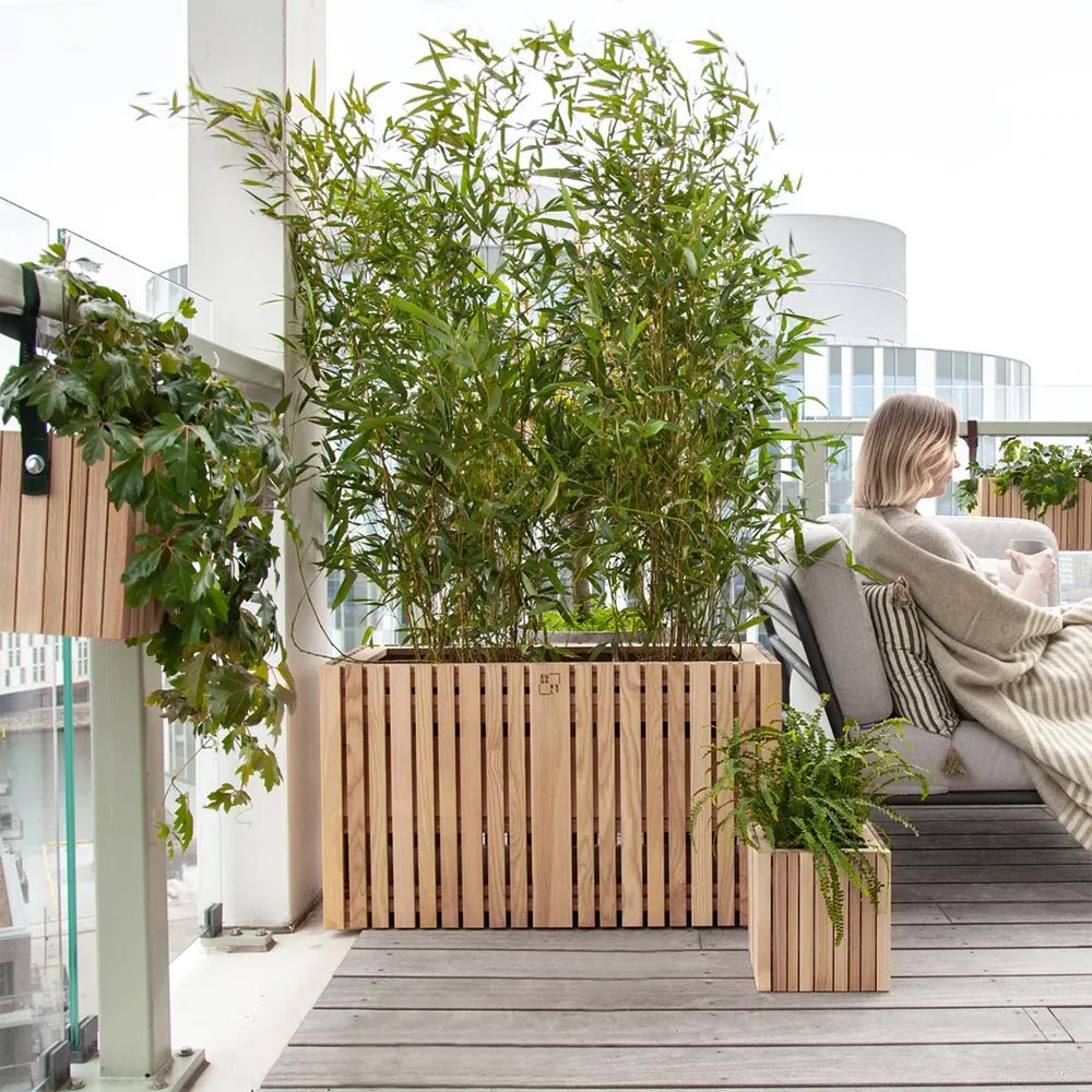 squarely growLarge 83427