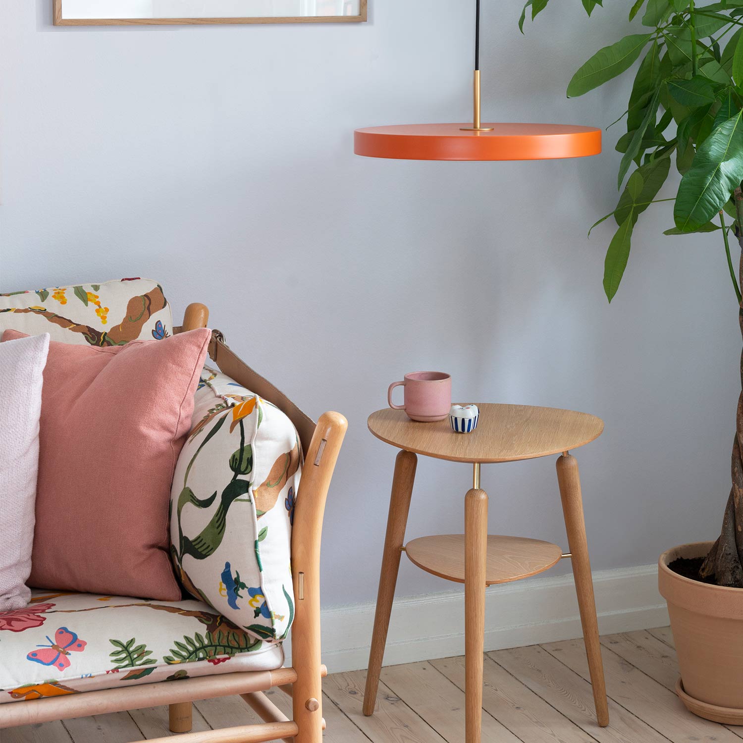 umage asteria orange 66160