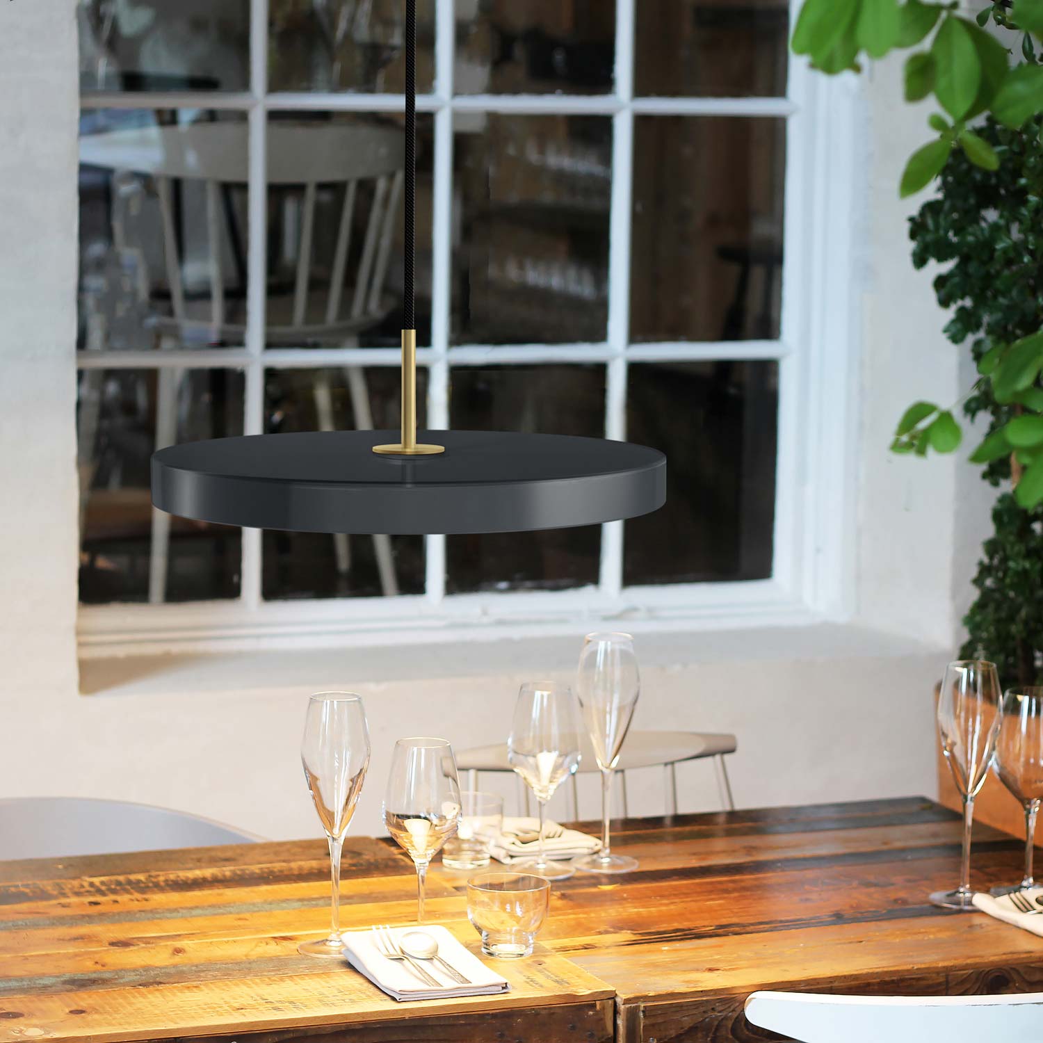 vita Asteria anthrazit 2