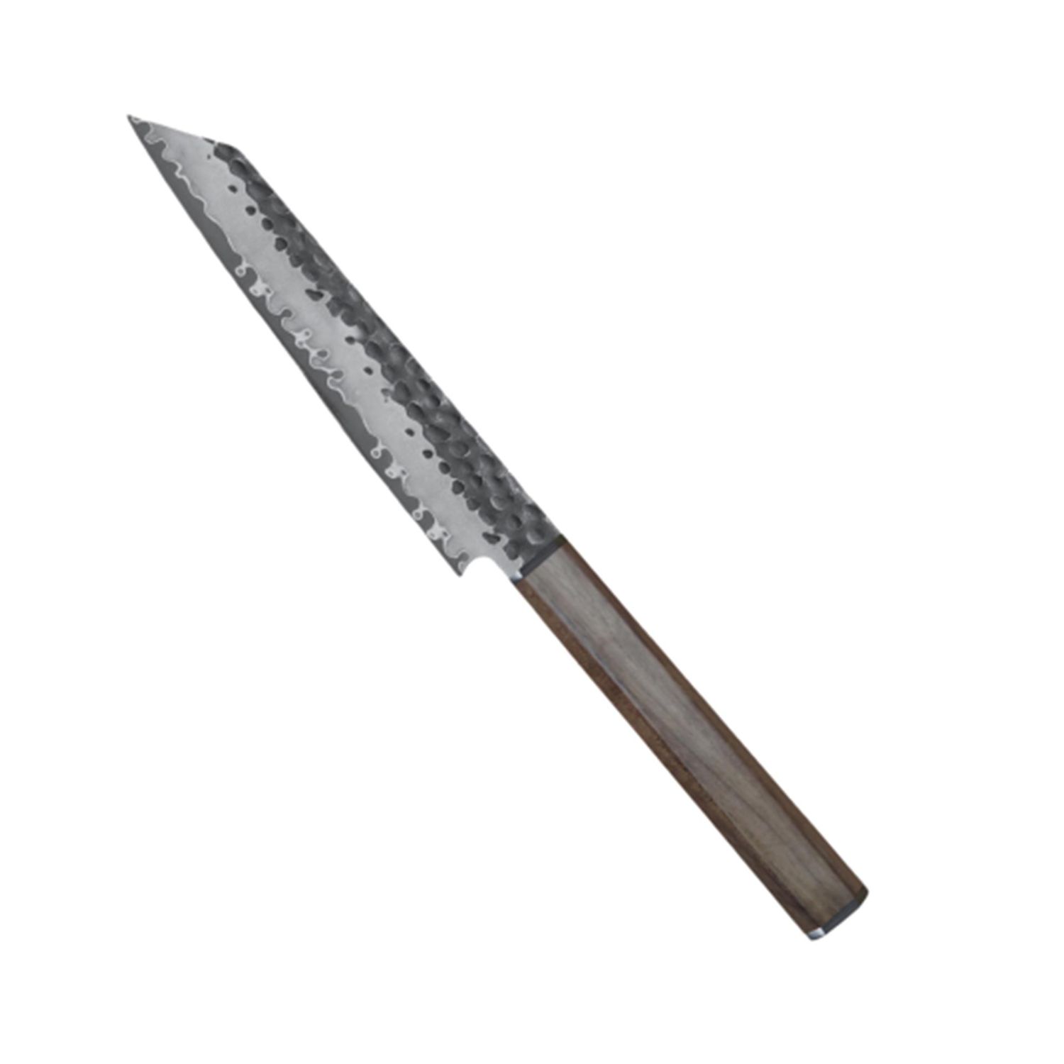 Ryoma - Kurosan Kiritsuke klein