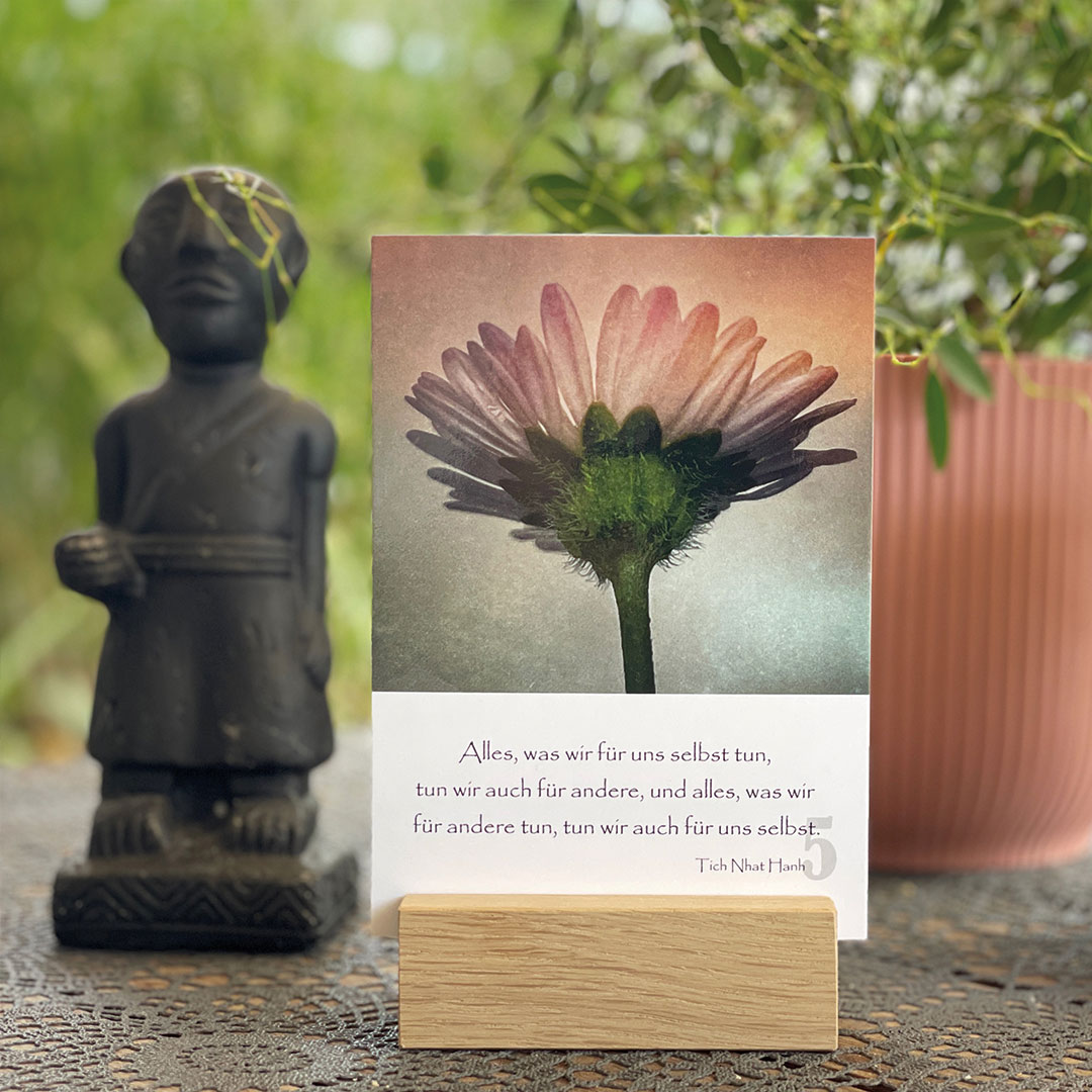 julia kienzle achtsamkeitskalender tag 5 84355