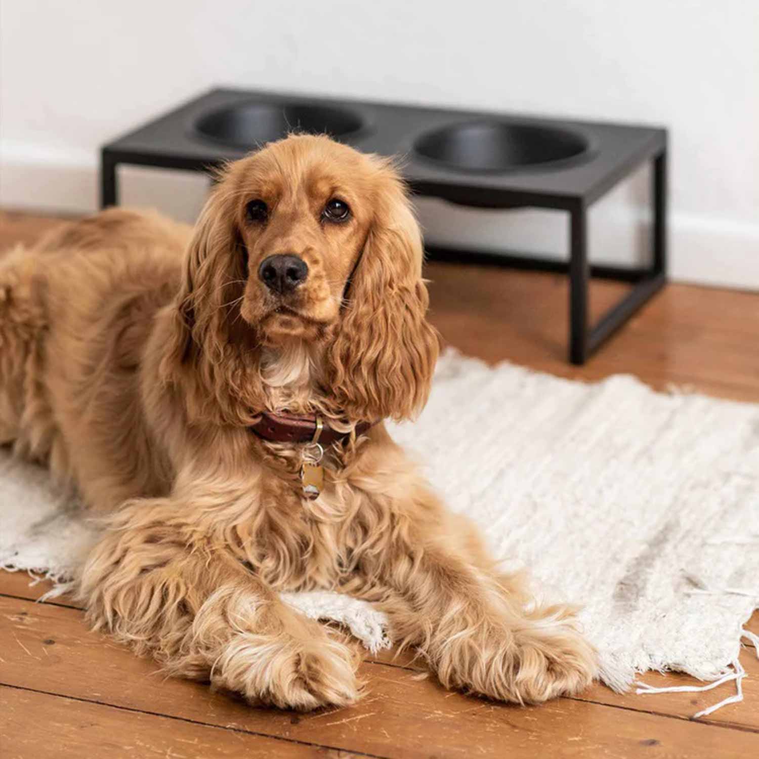 metallbude mika futterstation mittel schwarz hund 96678