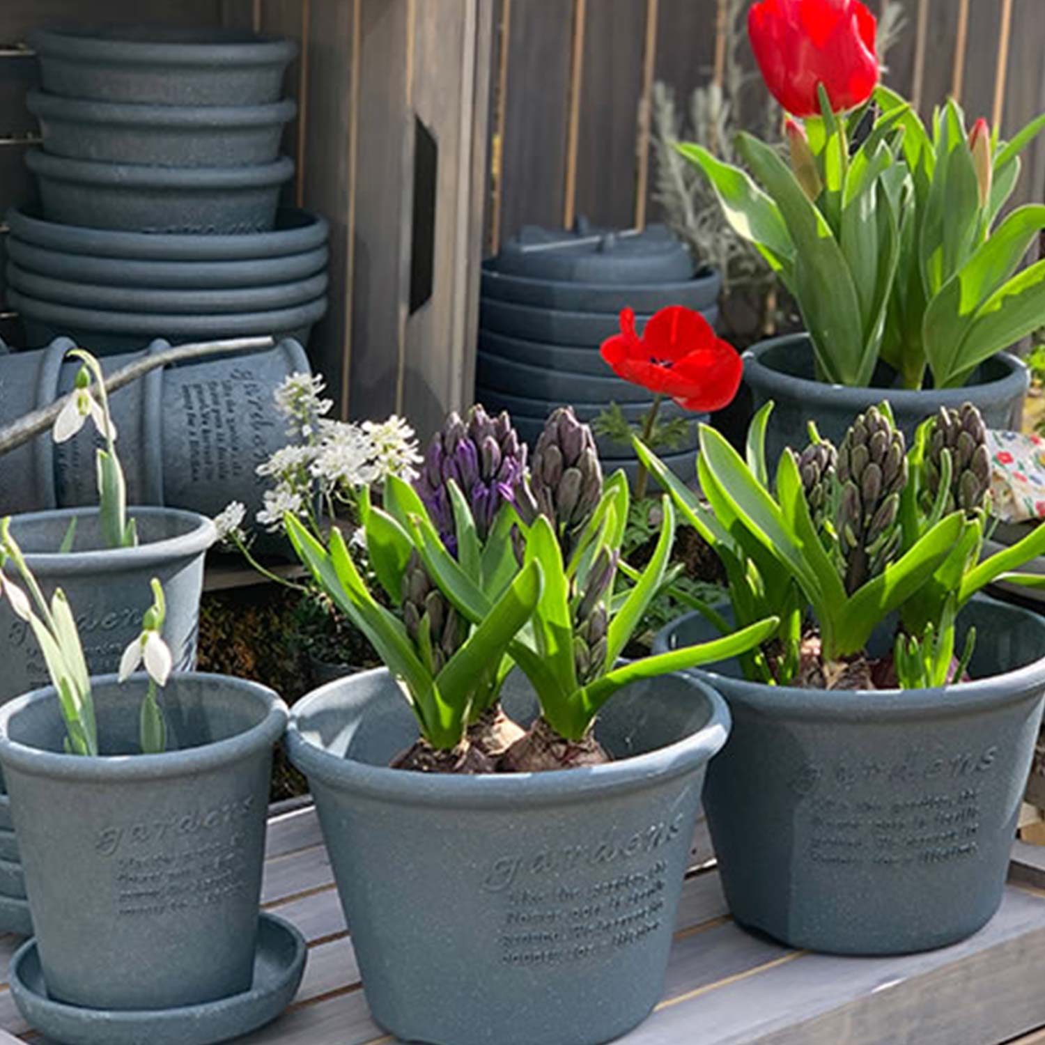 Hachiman - Eco Pot Shallow Type #10 navy blau